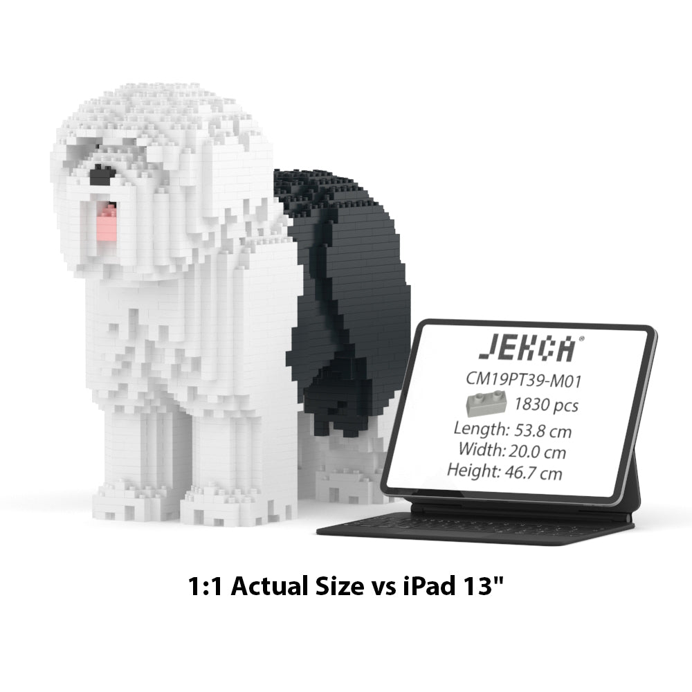 Old English Sheepdog 01-M01