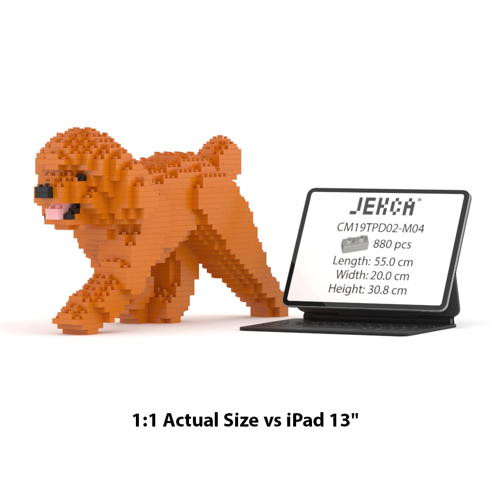 Toy Poodle 02-M04