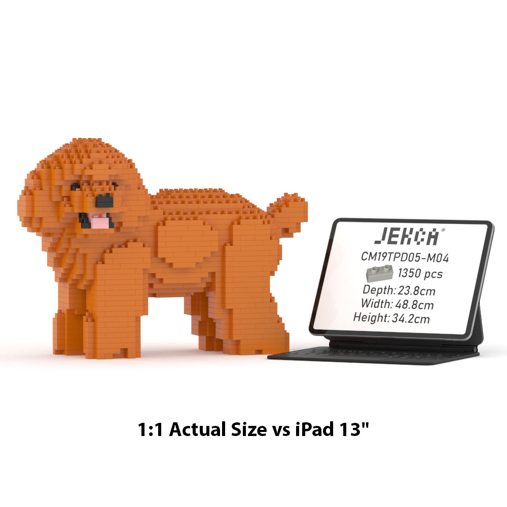 Toy Poodle 05-M04