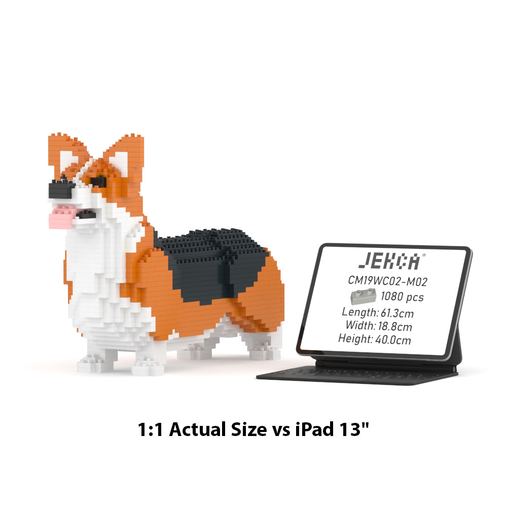 Welsh Corgi 02-M02