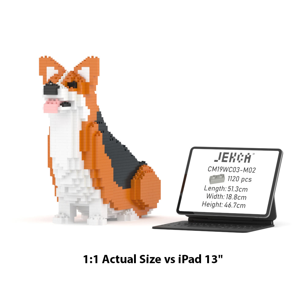 Welsh Corgi 03-M02