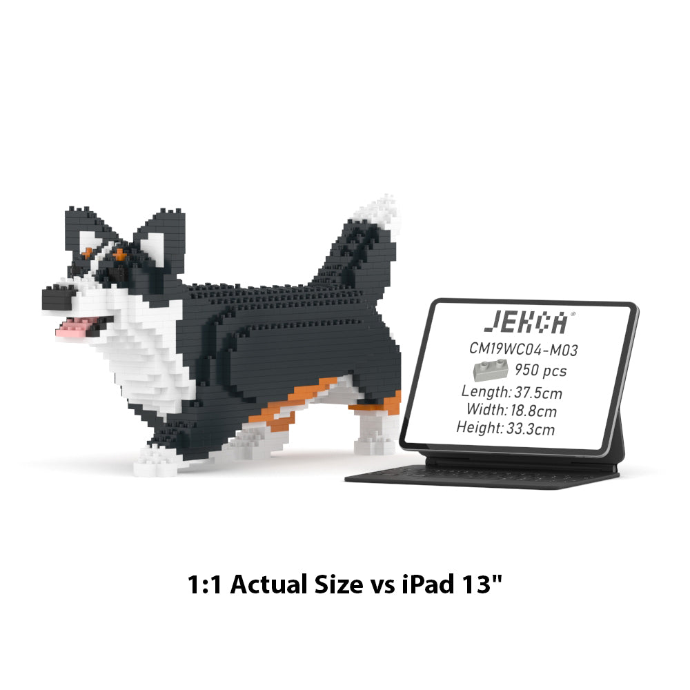 Welsh Corgi 04-M03