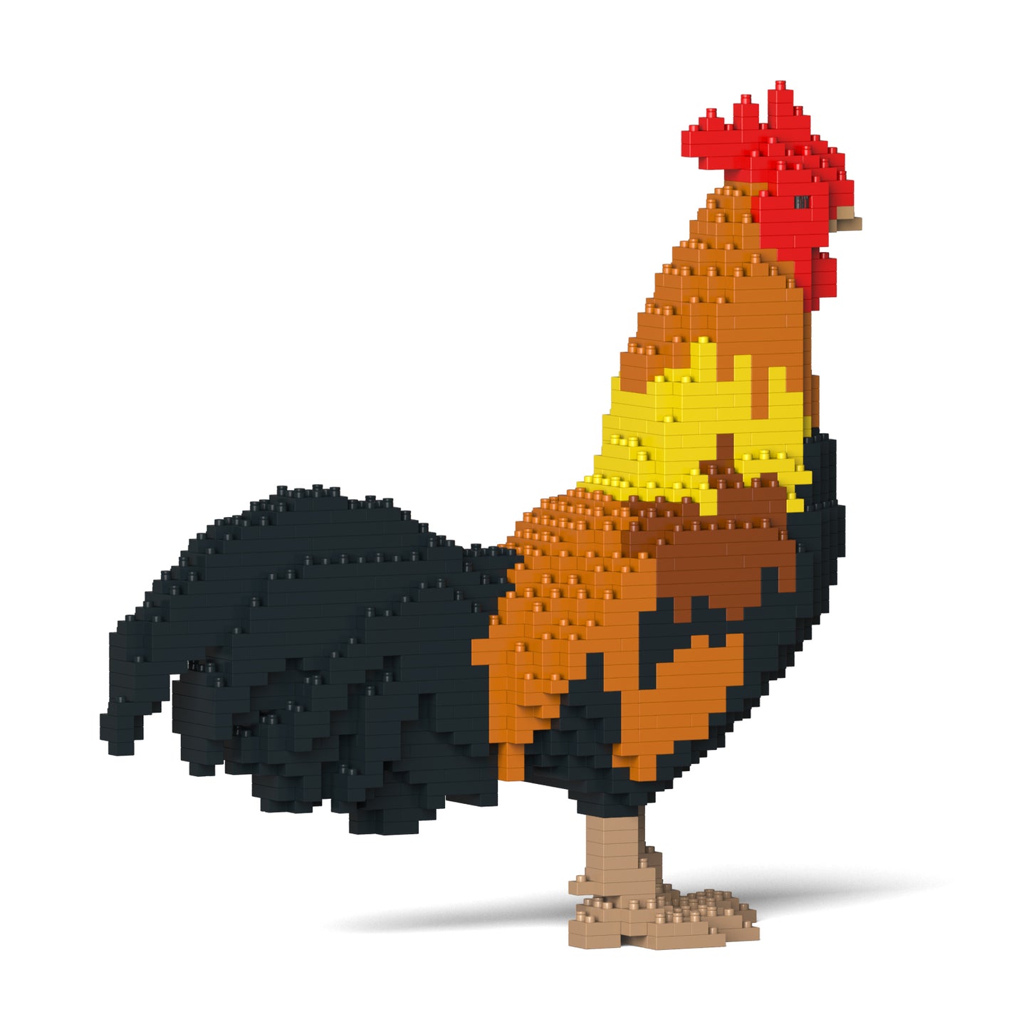 Rooster 01