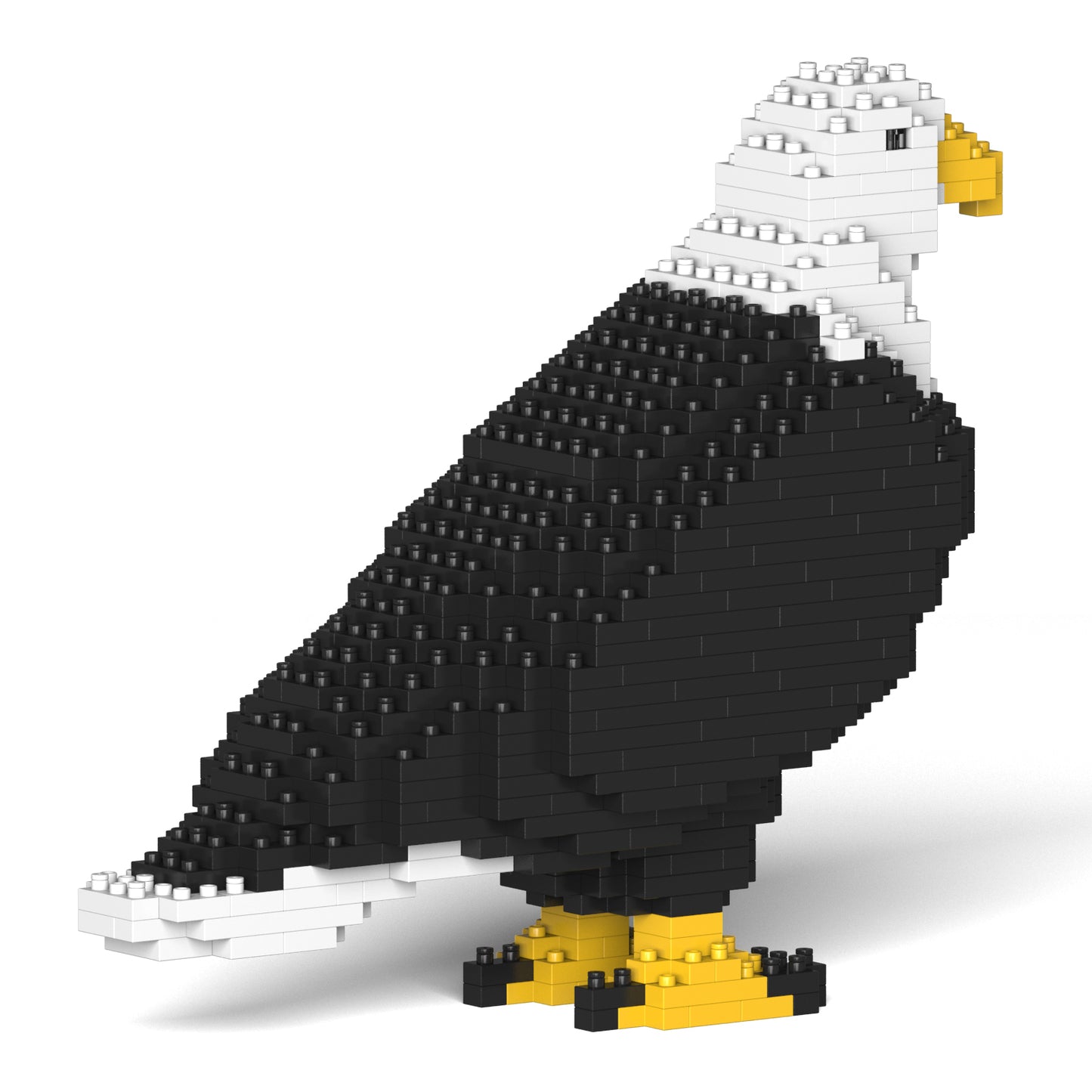 Bald Eagle 01