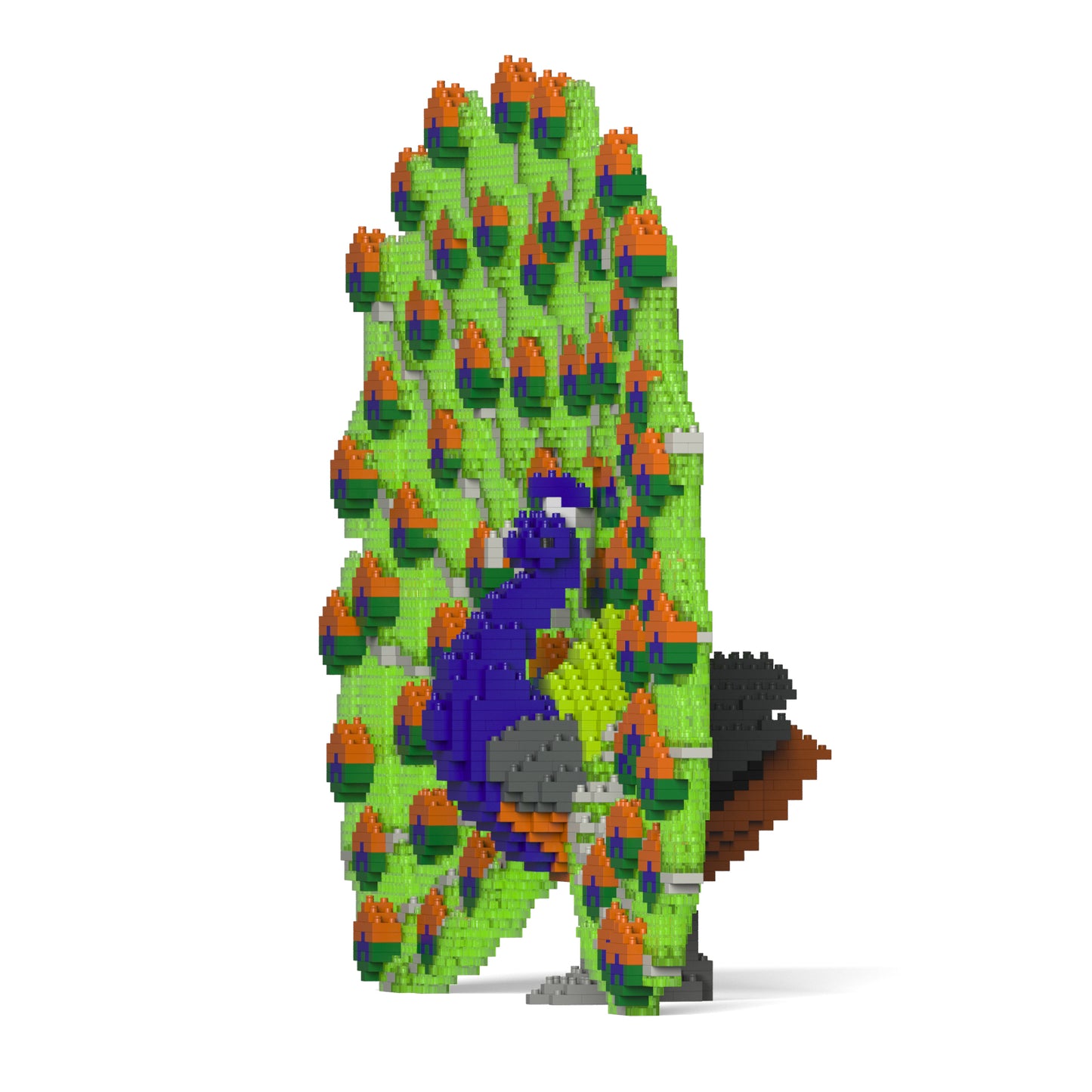 Peacock 01