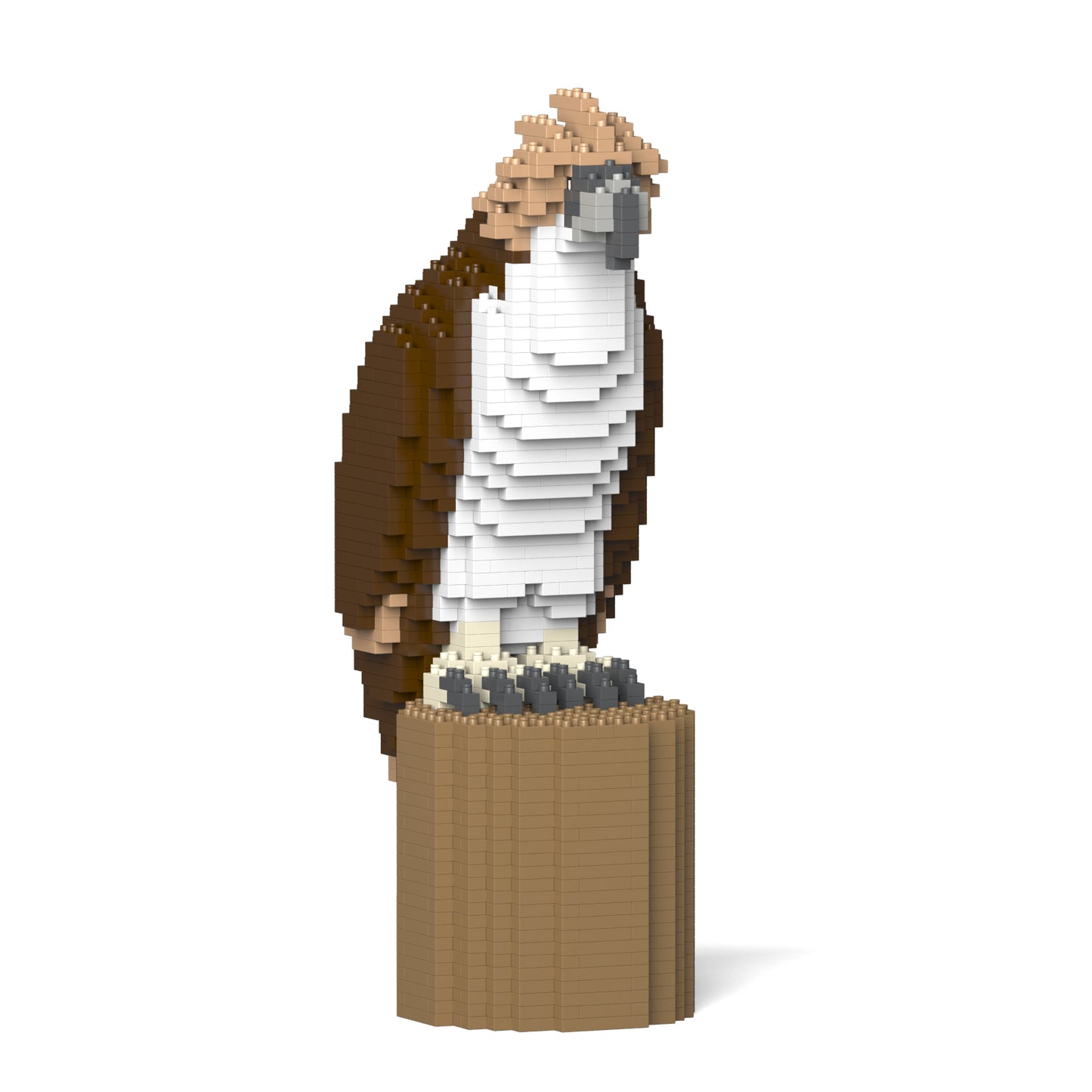 Philippine eagle 01