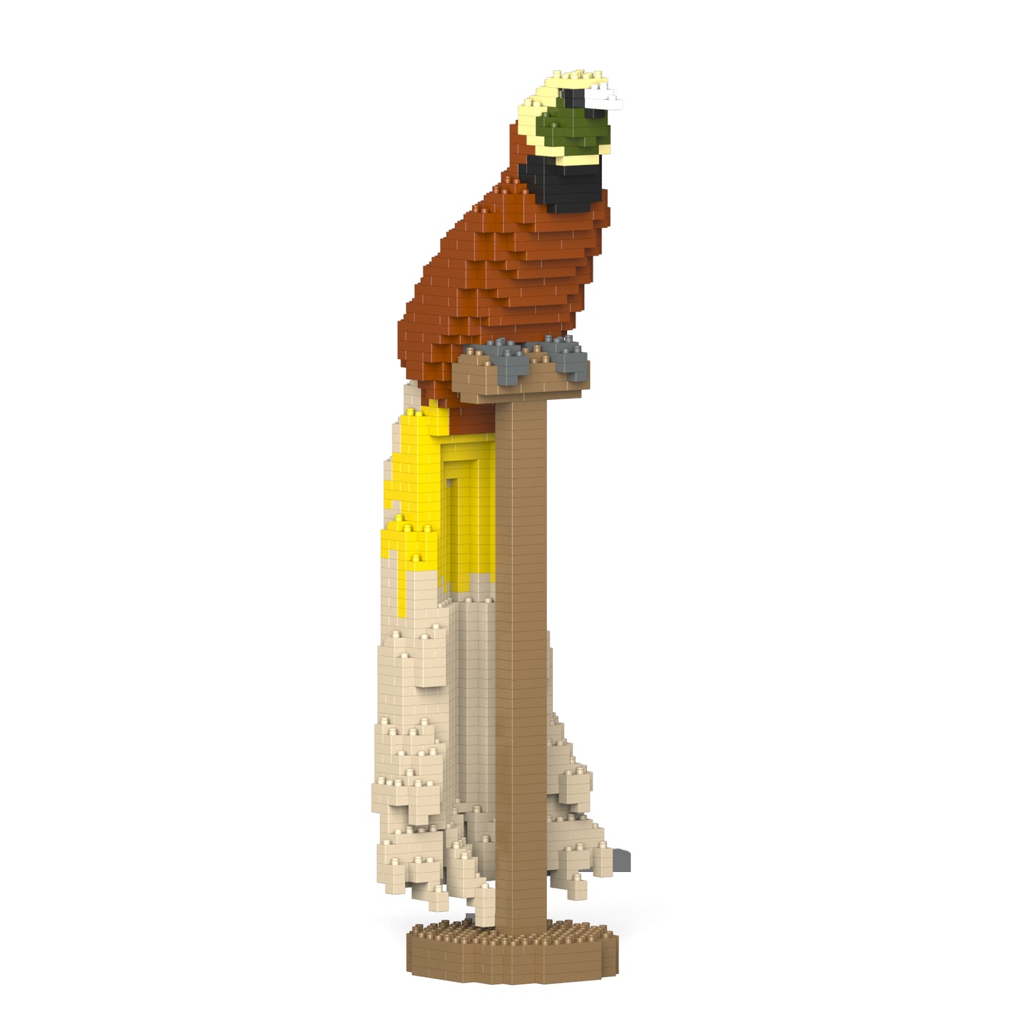 Bird-of-paradise 01