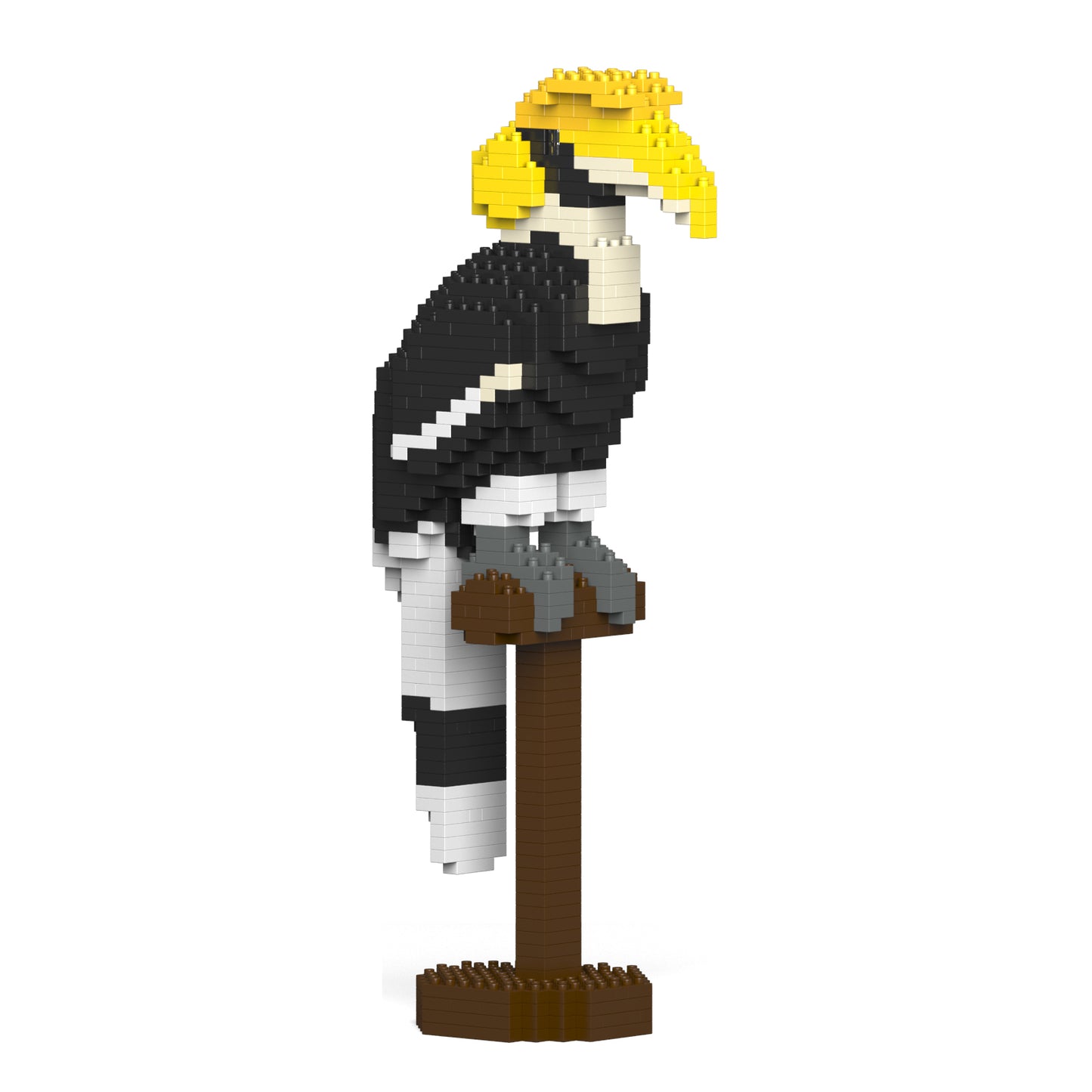 Great Hornbill 01S