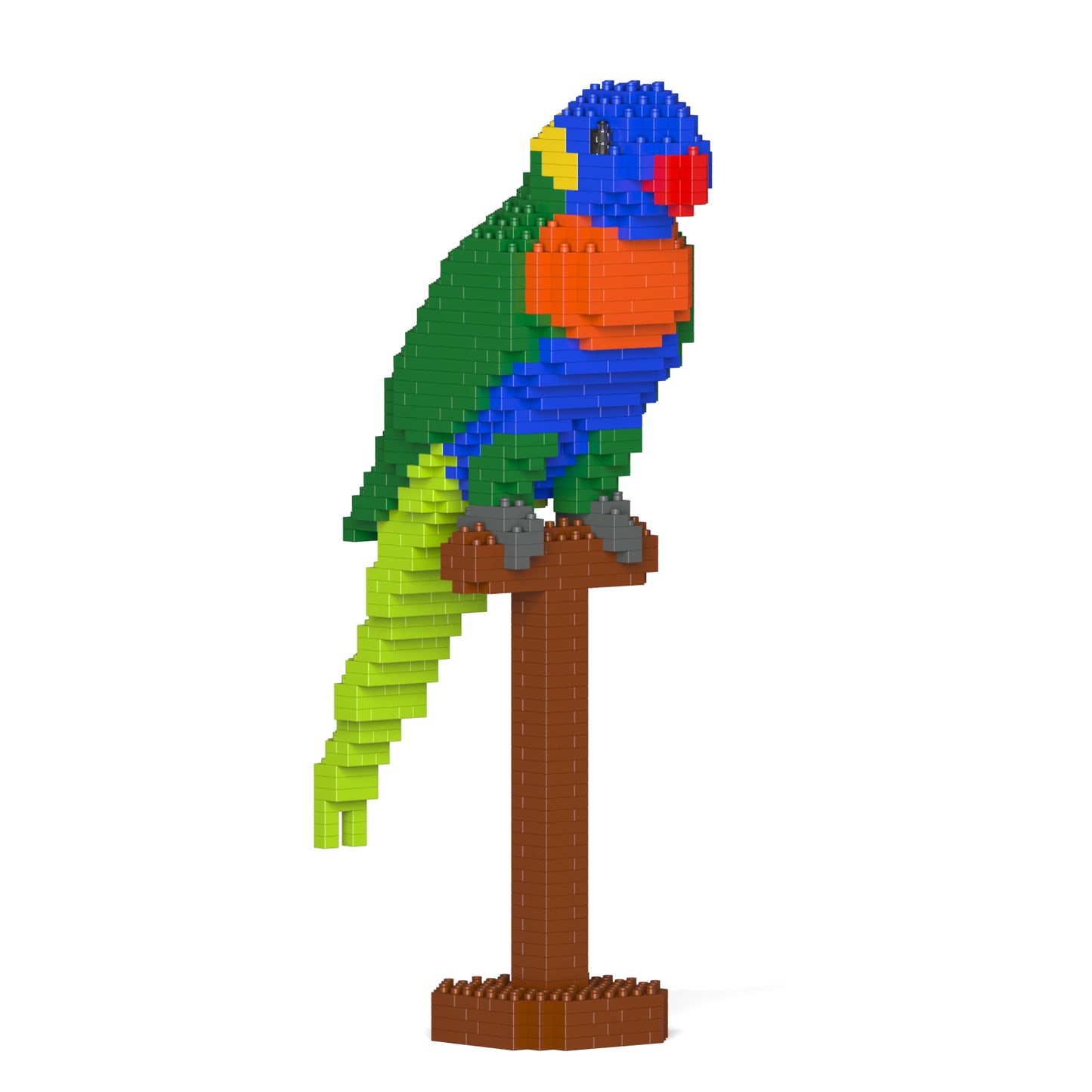 Rainbow Lorikeet 01S