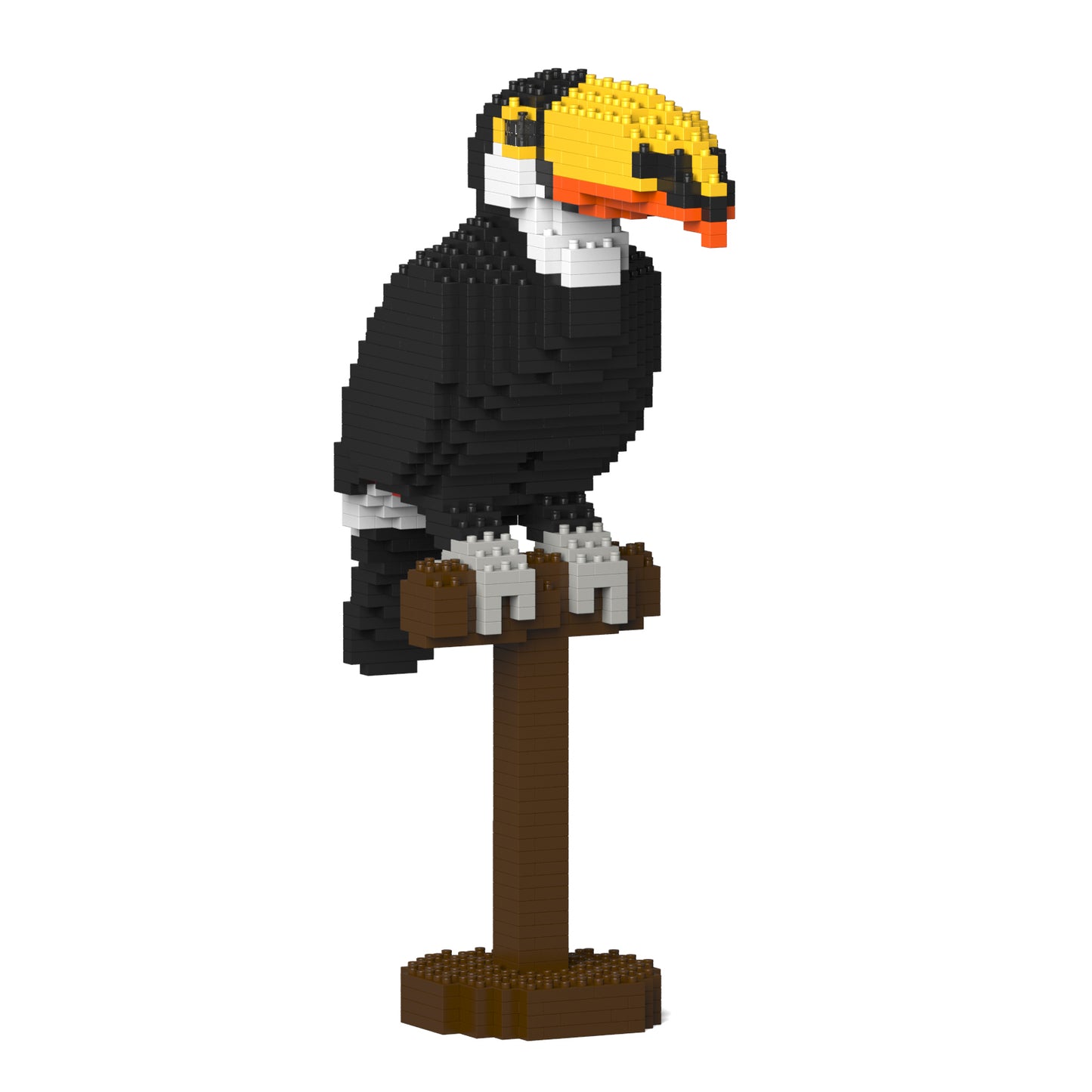 Toco Toucan 01S