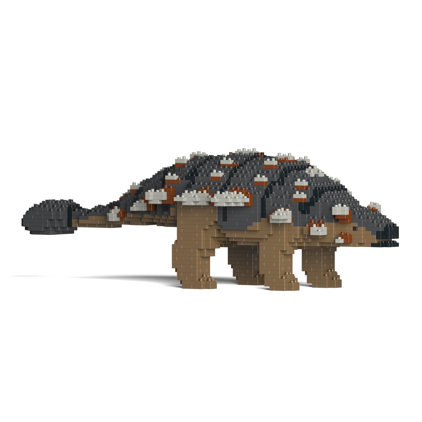 Ankylosaurus 01-M01