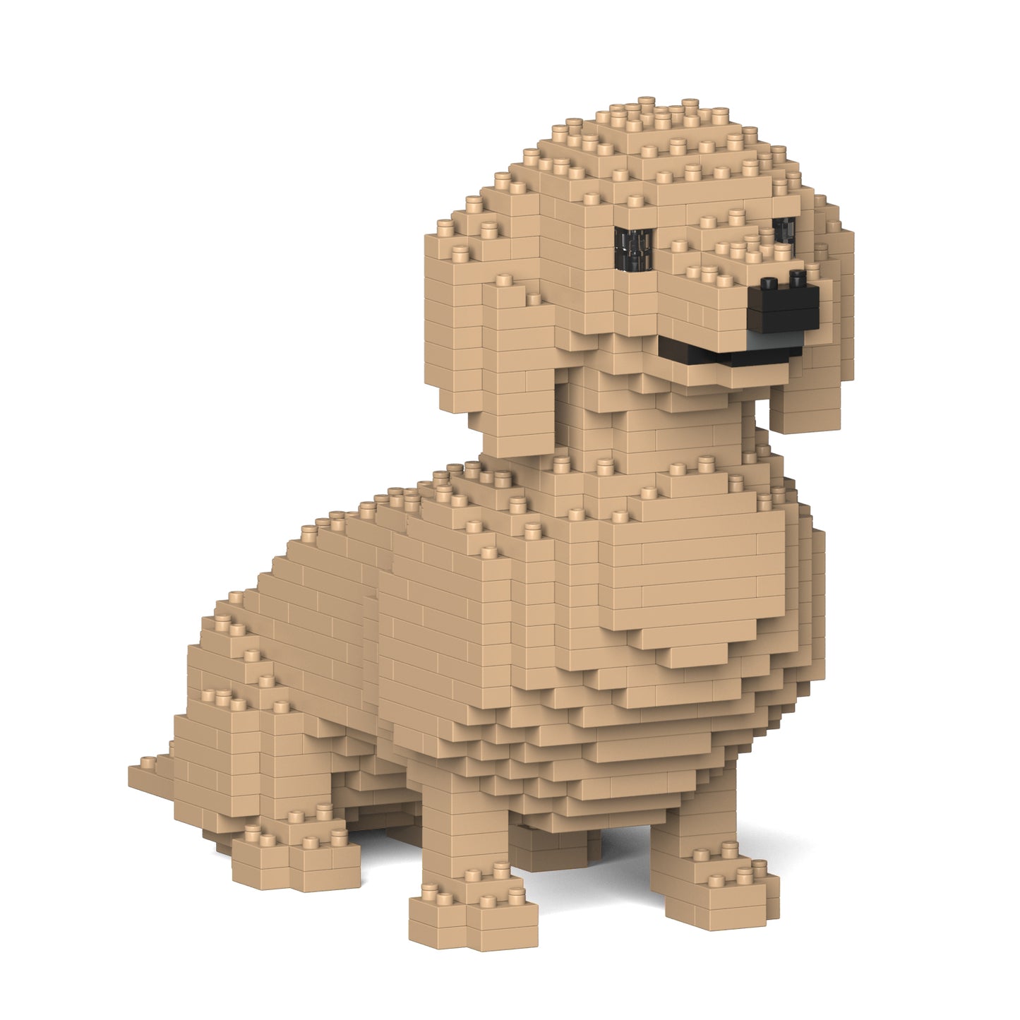 Dachshund 03-M03