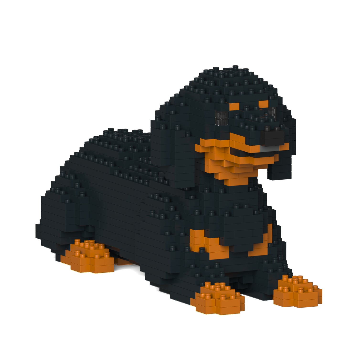 Dachshund 04-M01
