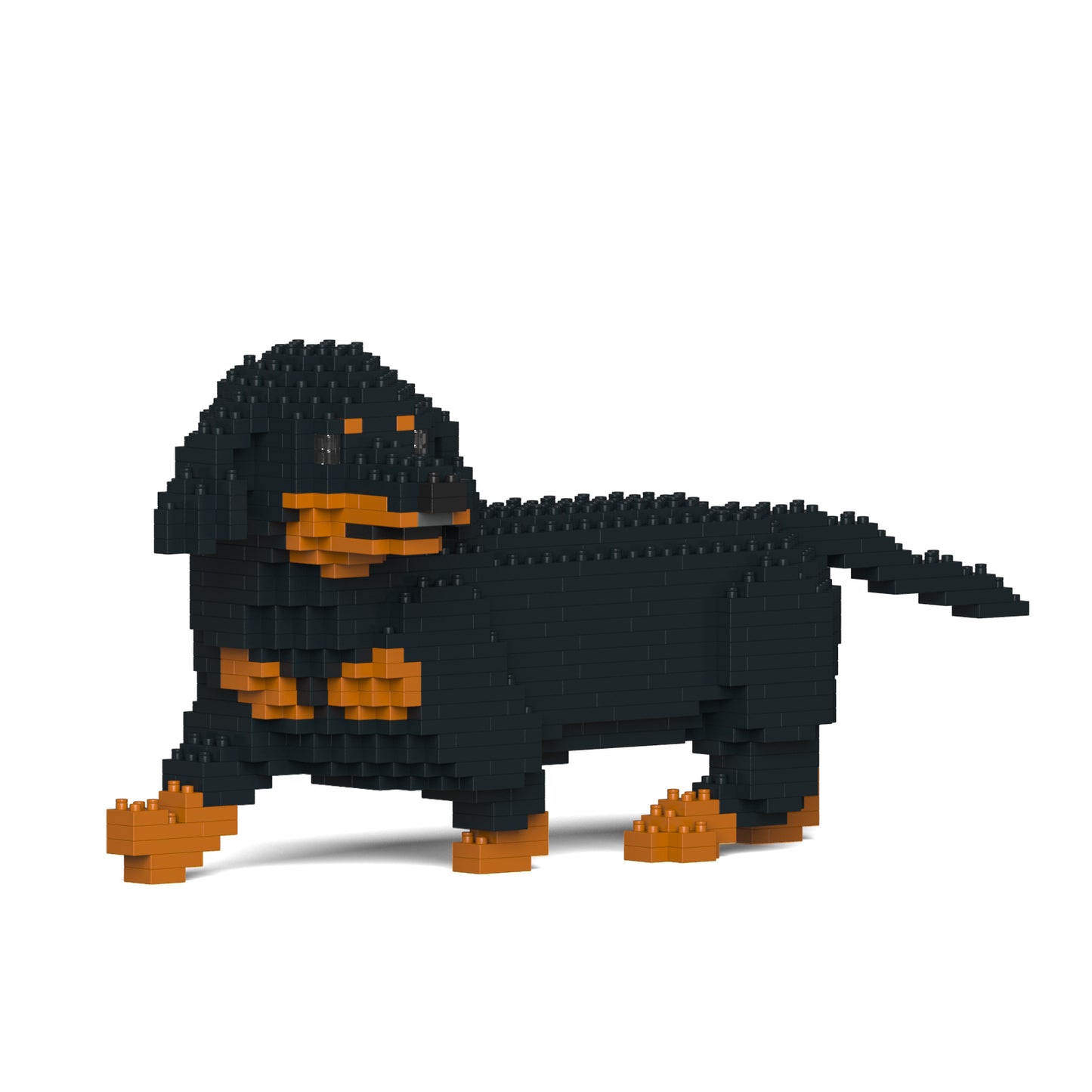 Dachshund 06-M01