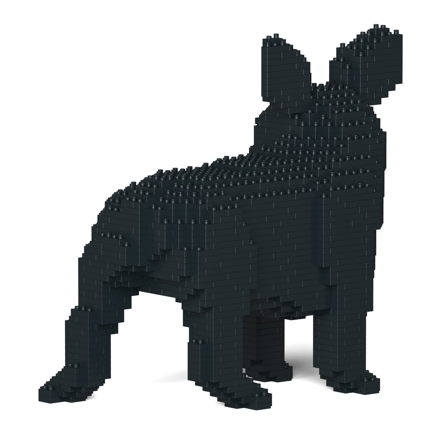 French Bulldog 03-M03