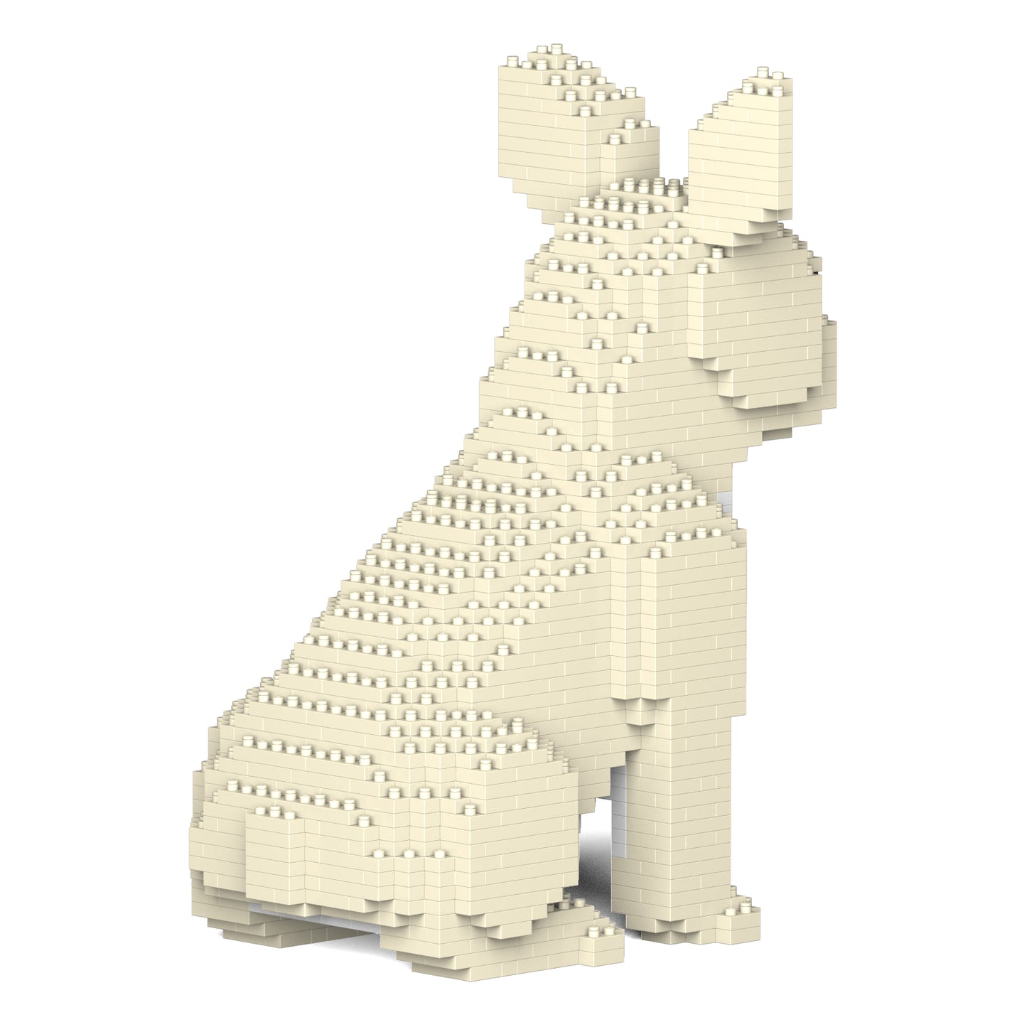 French Bulldog 04-M02