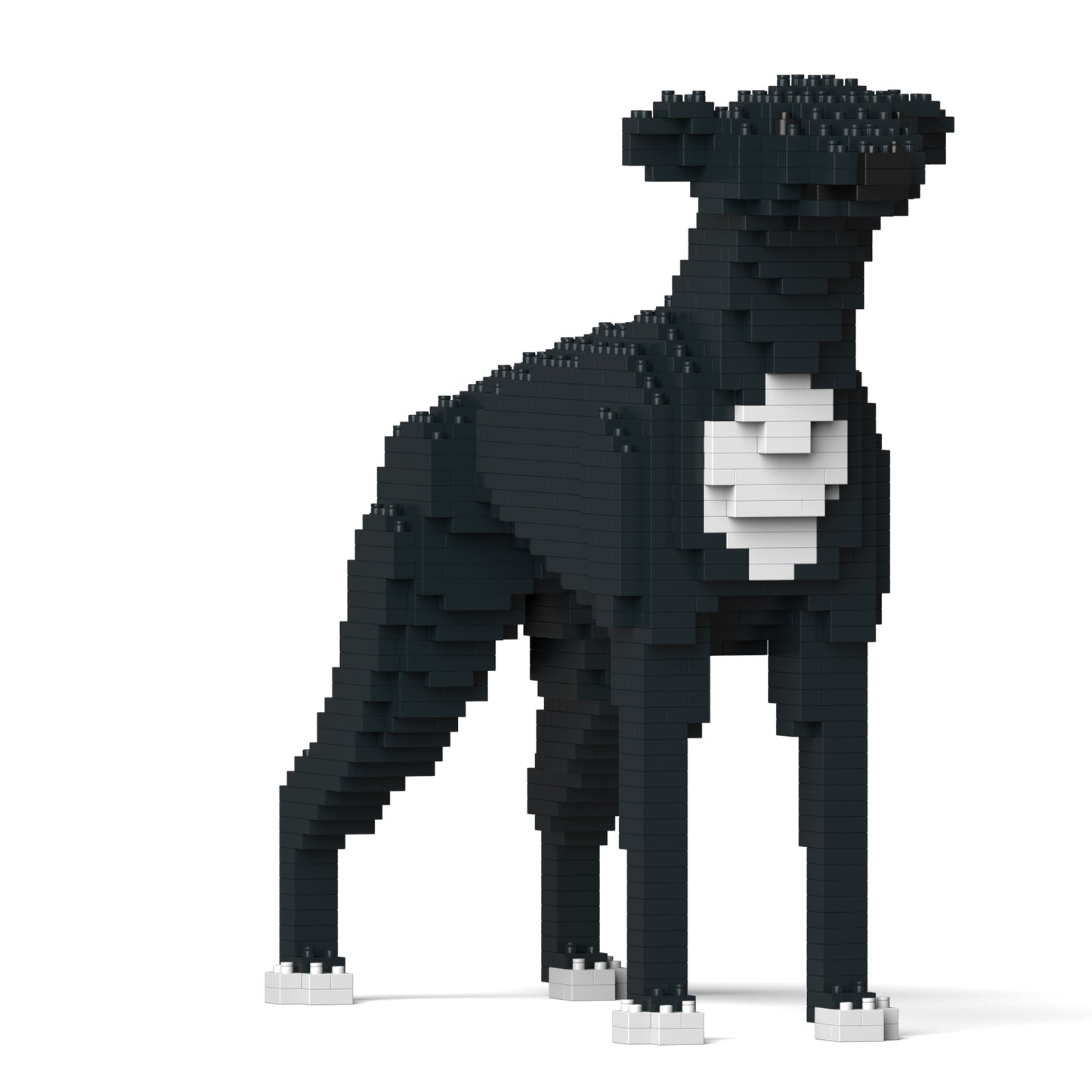 Greyhound 01-M02