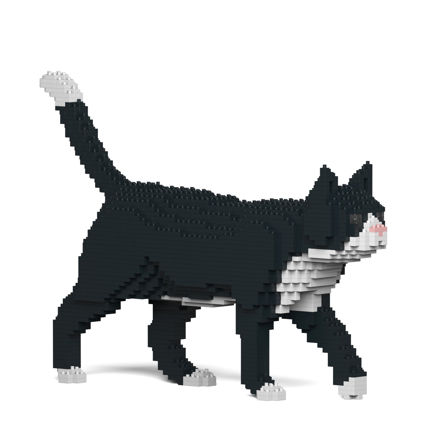 Tuxedo Cat 02S