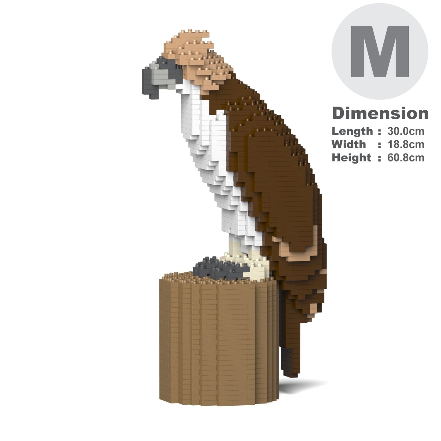 Philippine eagle 01