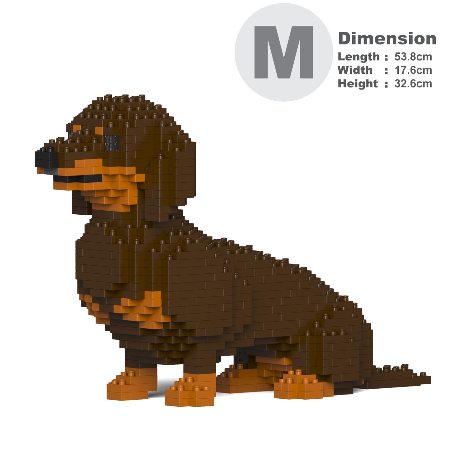 Dachshund 03-M02