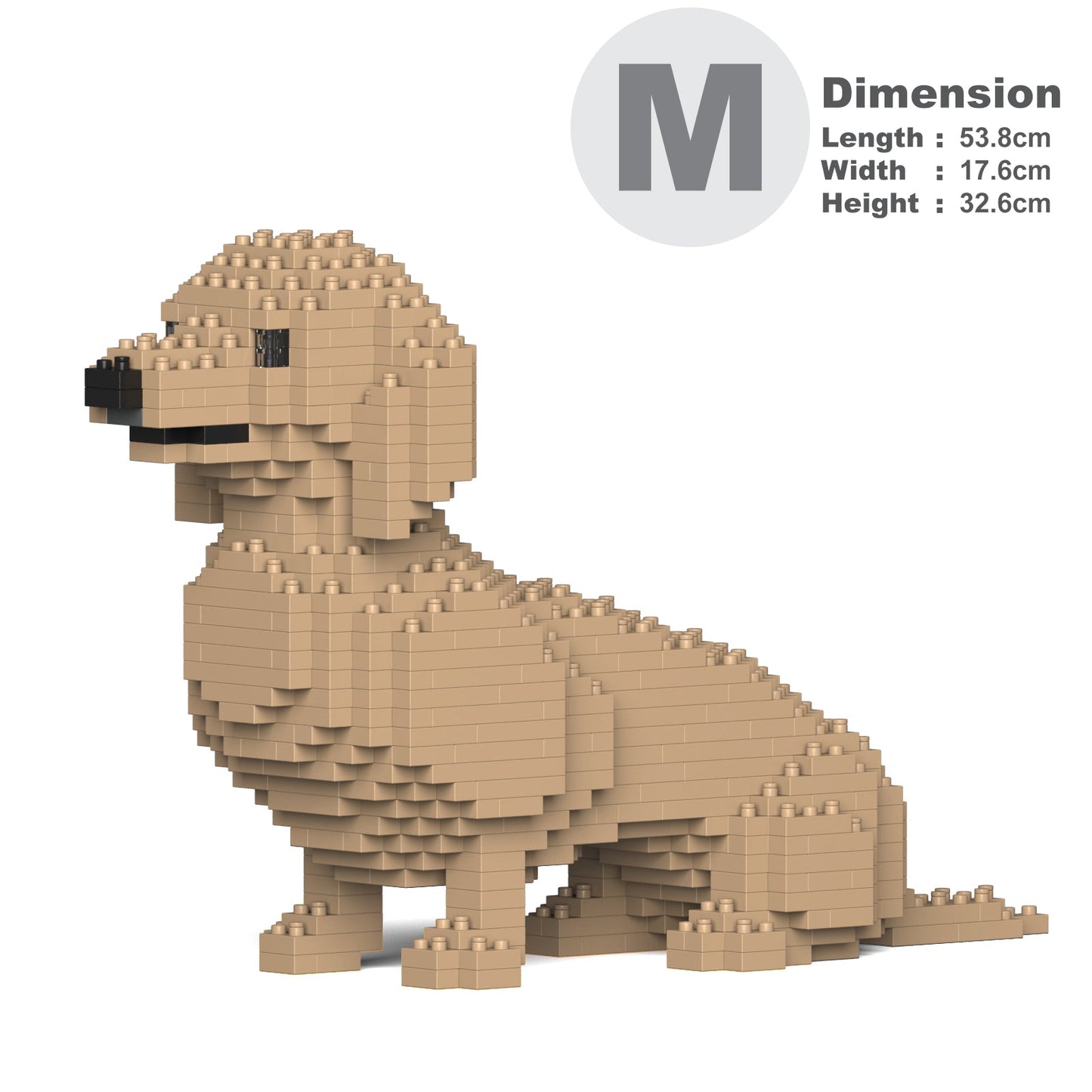 Dachshund 03-M03