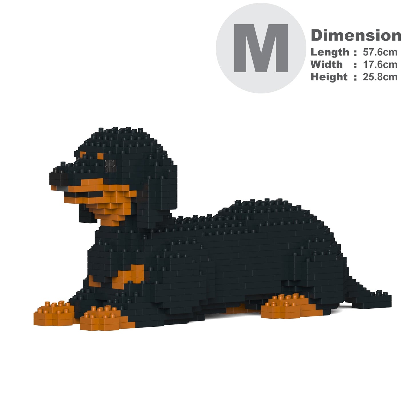 Dachshund 04-M01