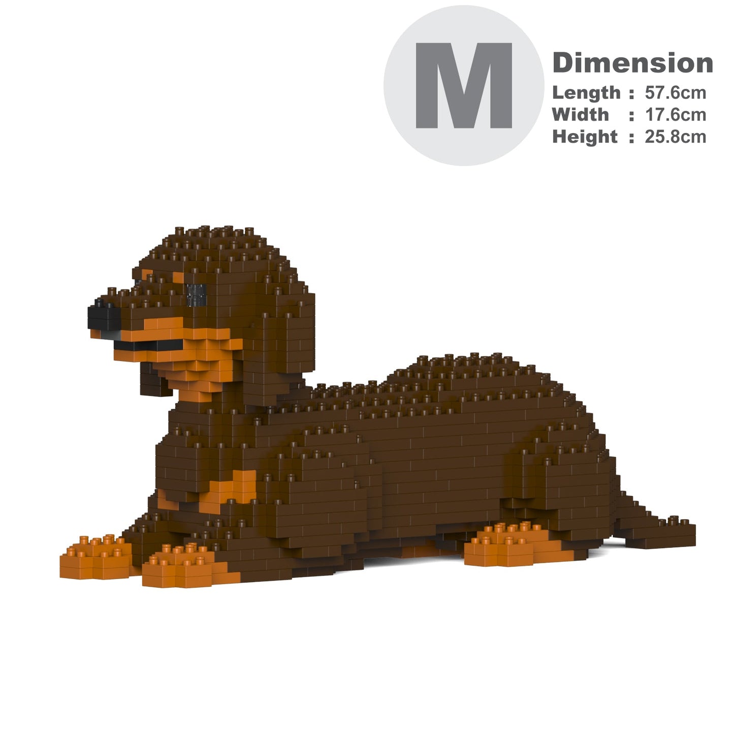 Dachshund 04-M02