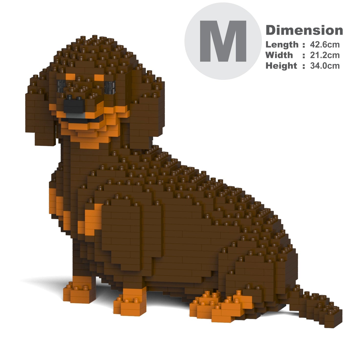 Dachshund 05-M02