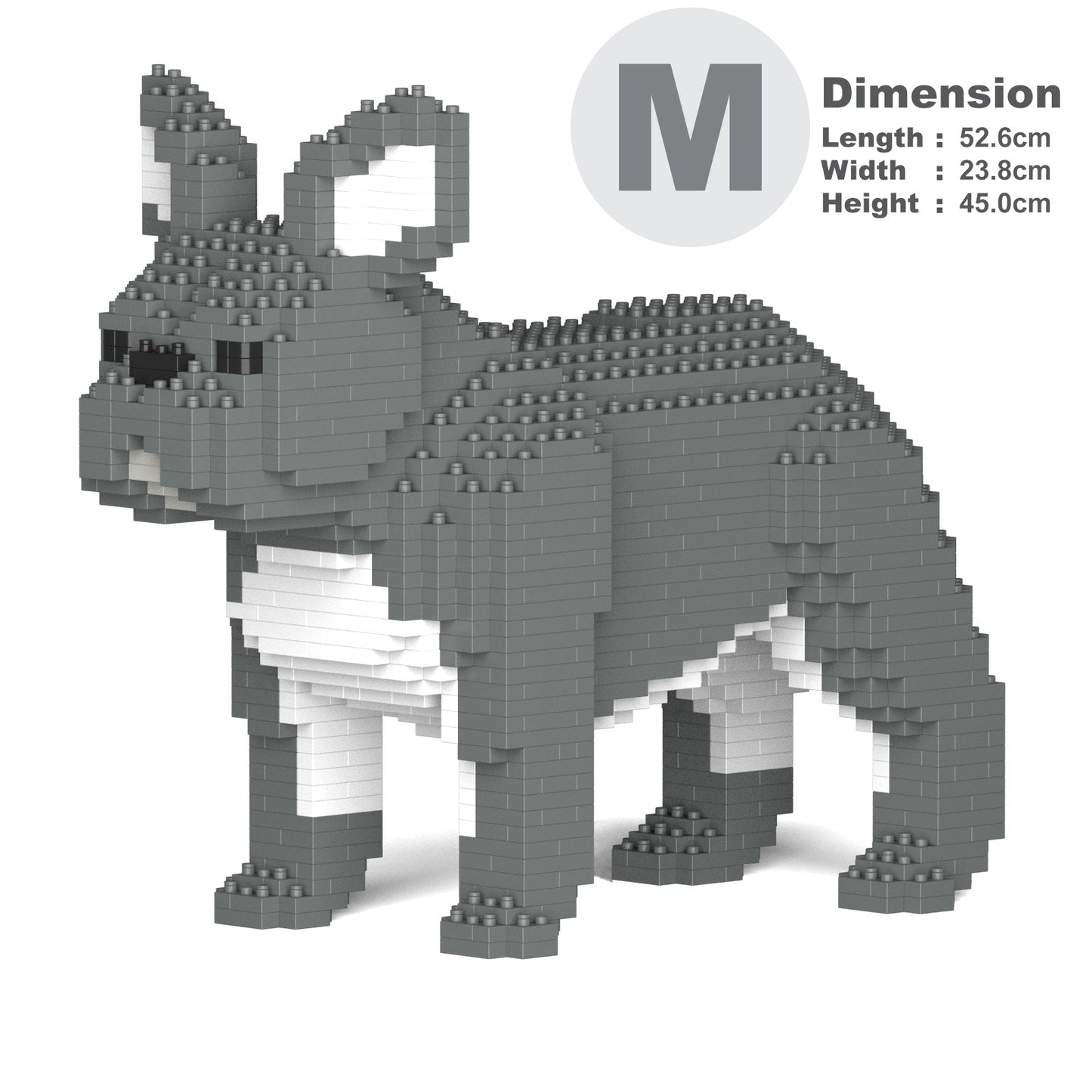 French Bulldog 02-M05