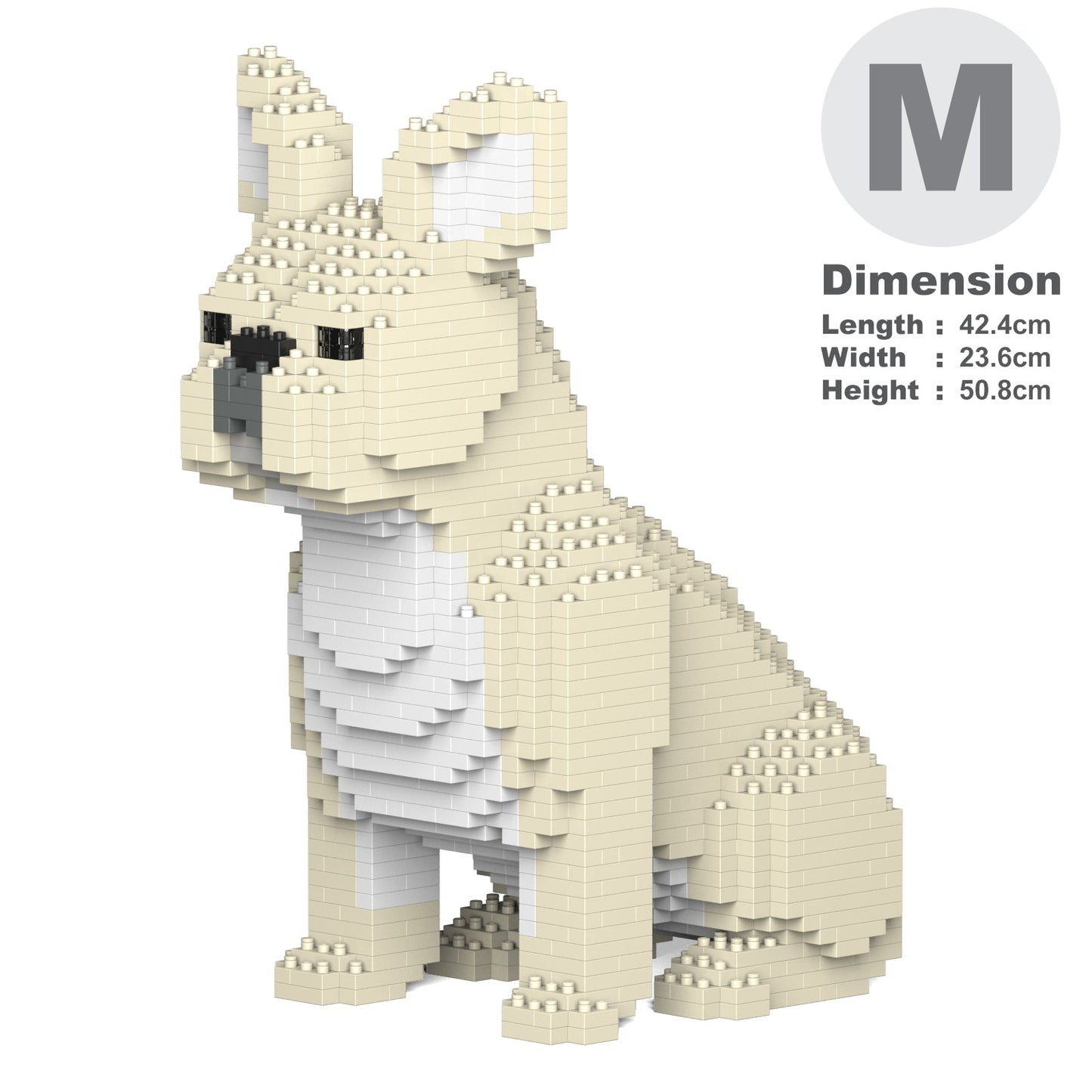 French Bulldog 04-M02