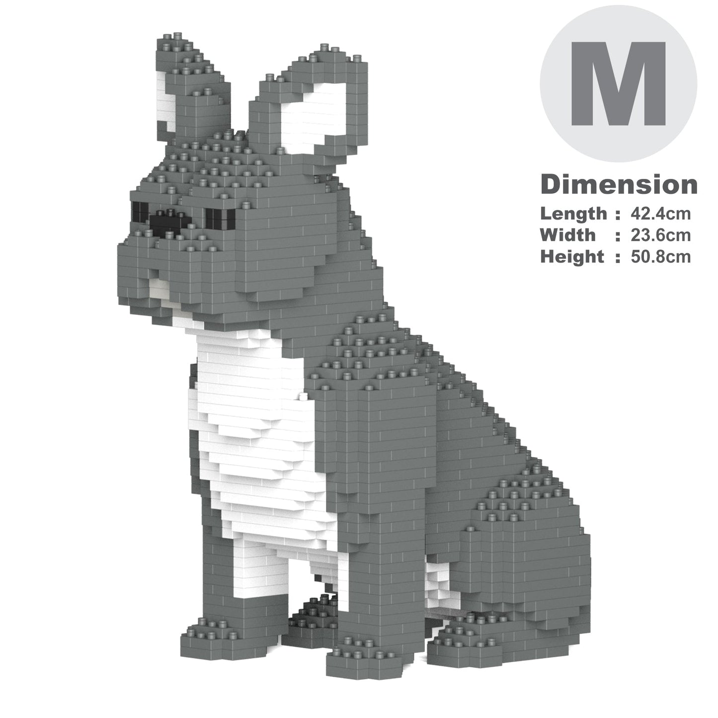 French Bulldog 04-M05