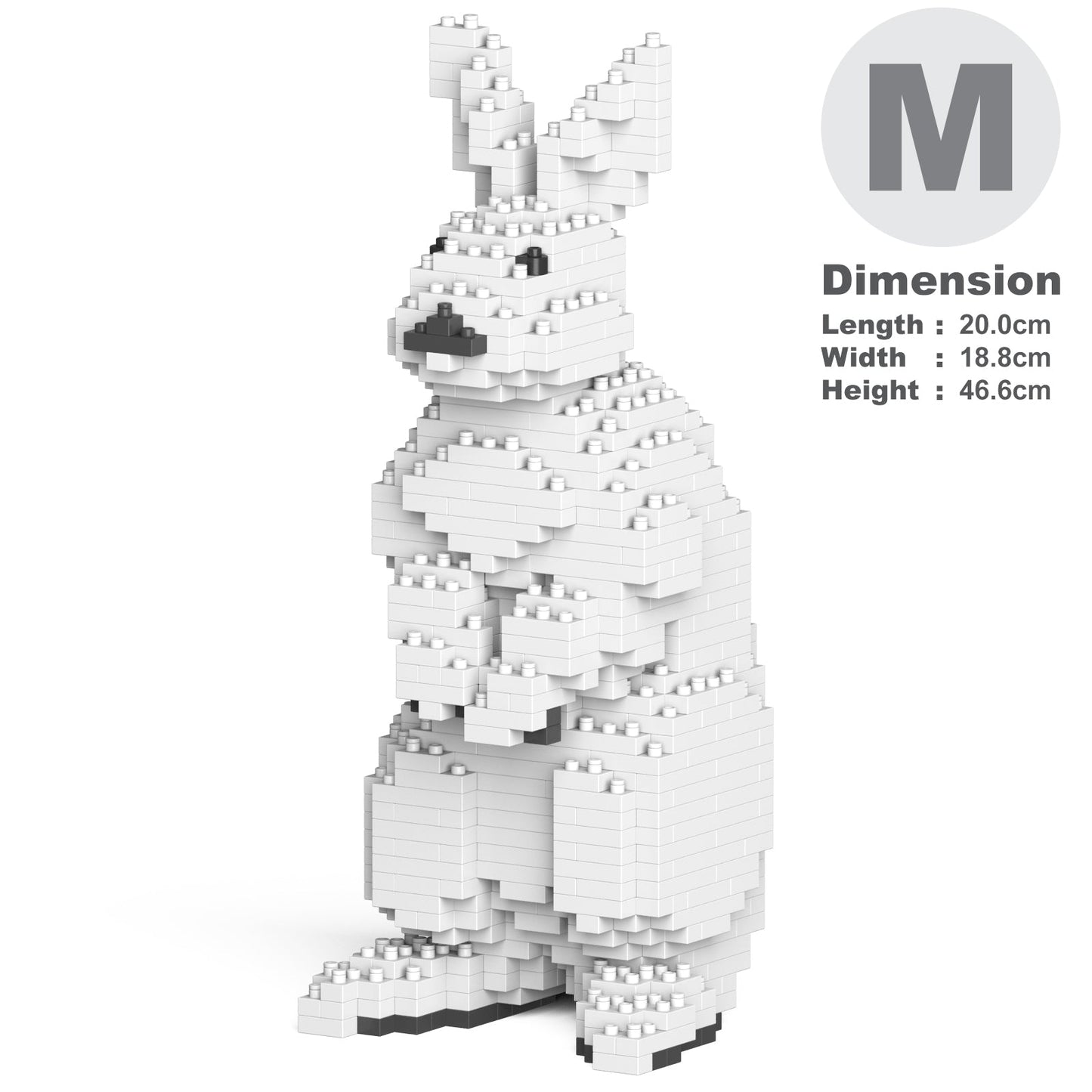 Rabbit 01