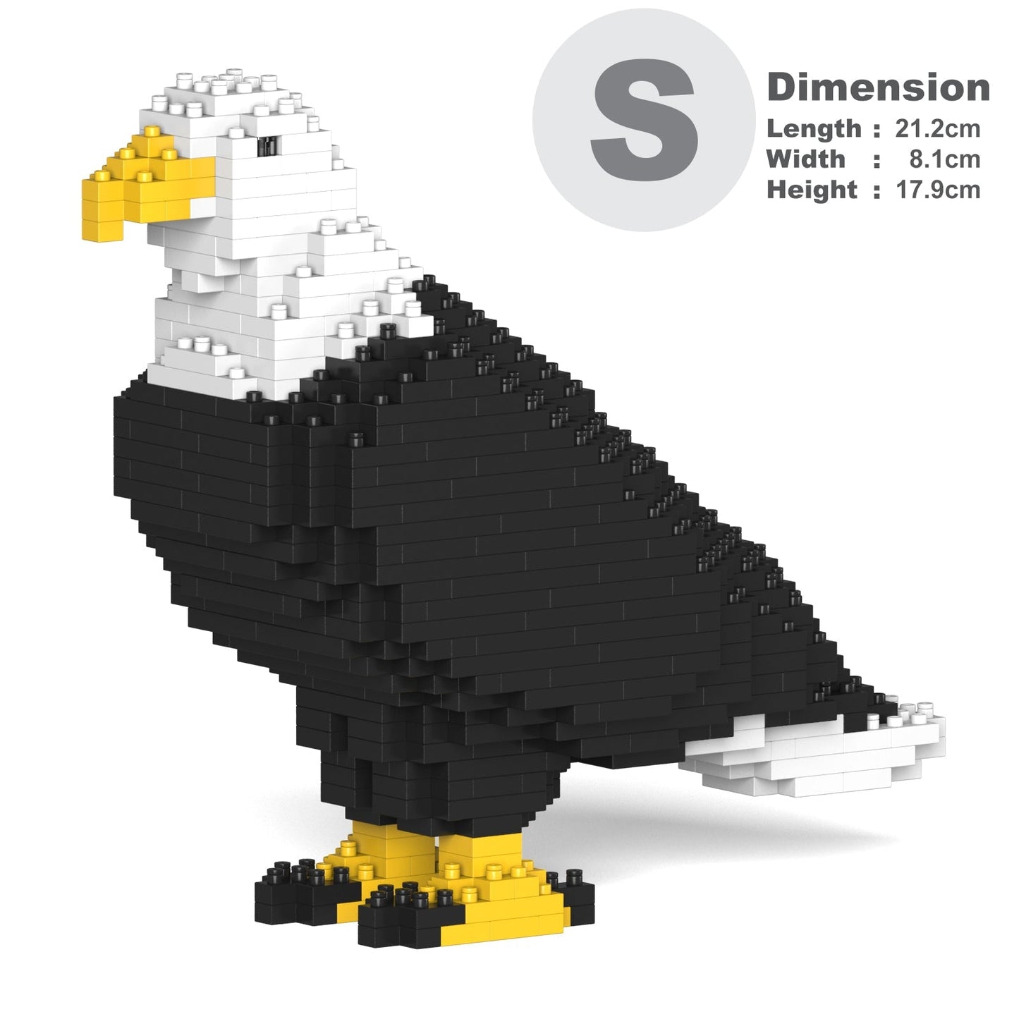 Bald Eagle 01