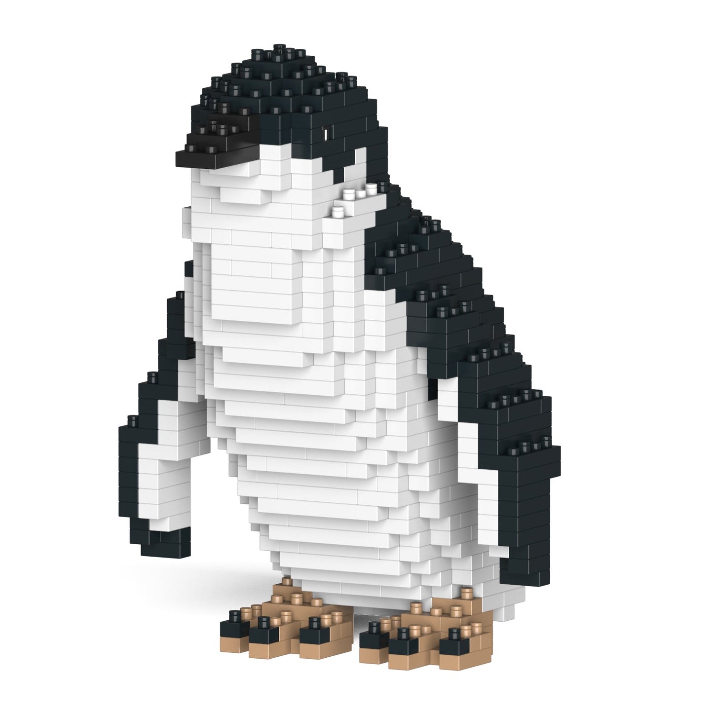 Little Penguin 01