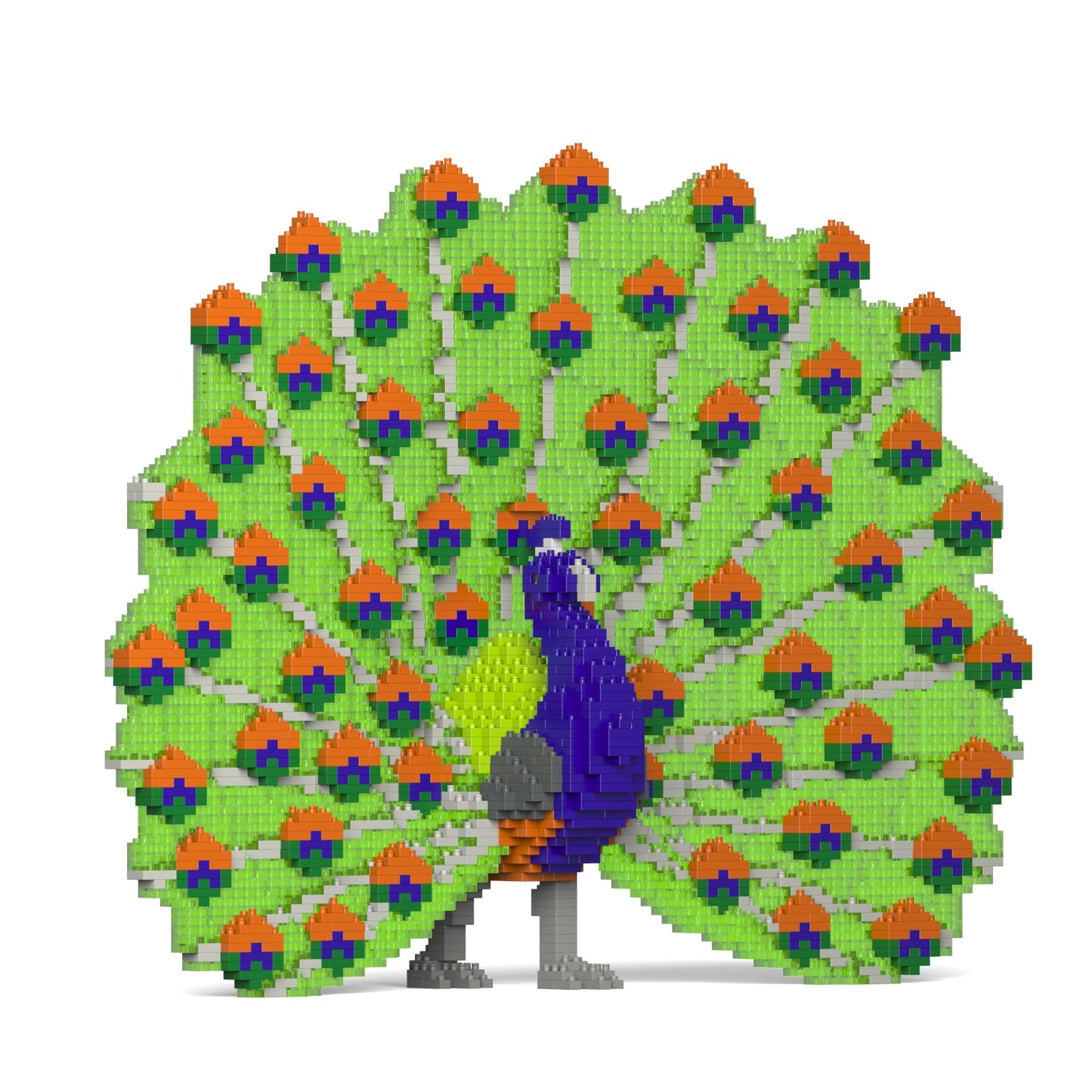 Peacock 01