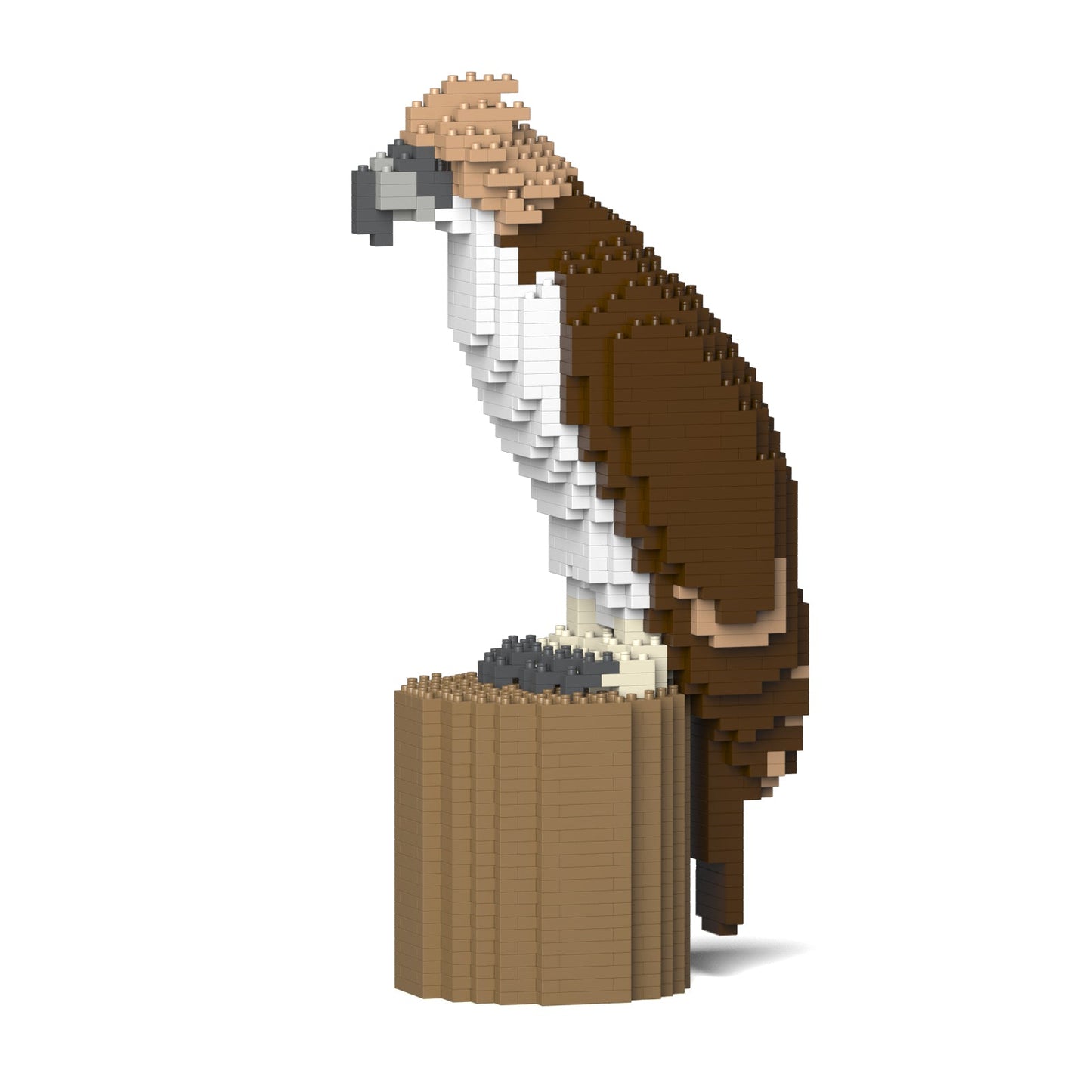 Philippine eagle 01
