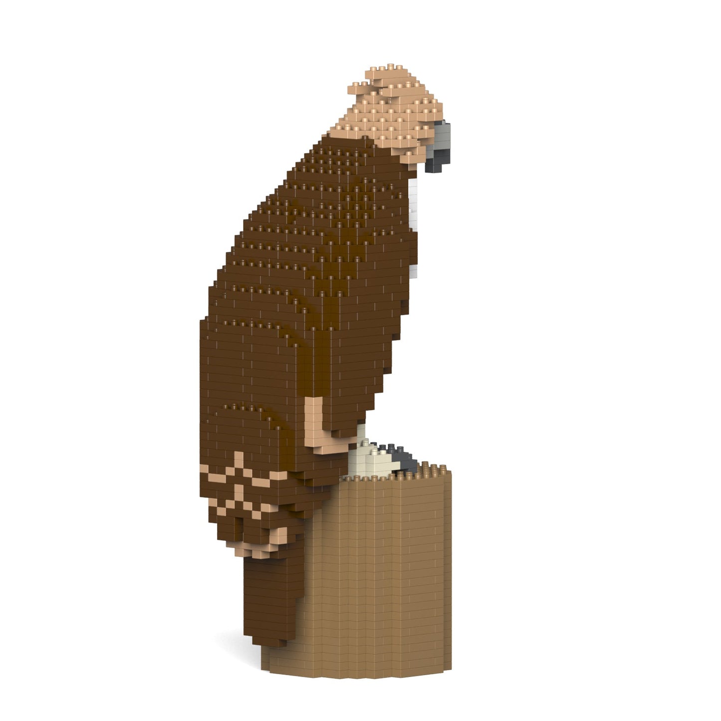 Philippine eagle 01