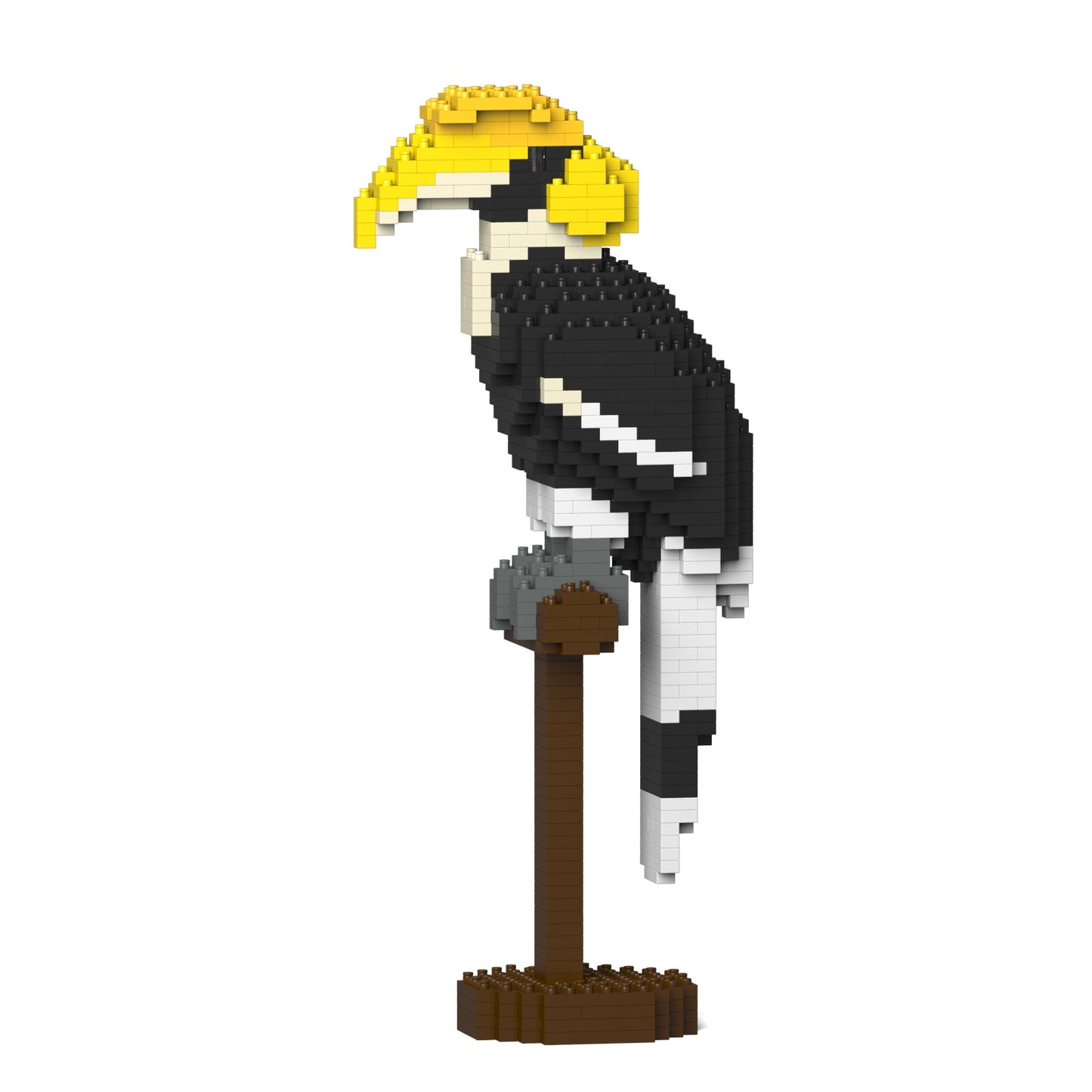 Great Hornbill 01S