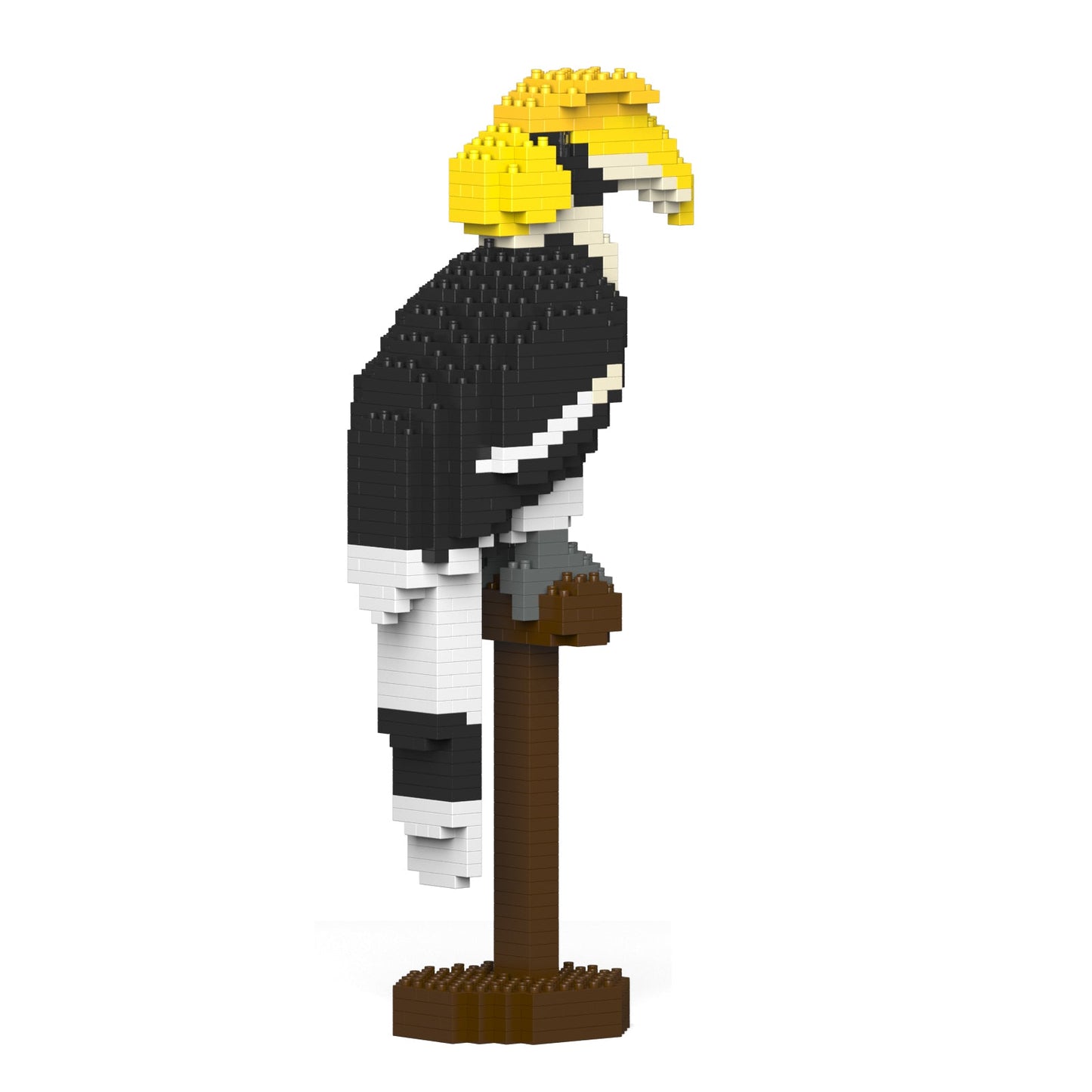 Great Hornbill 01S