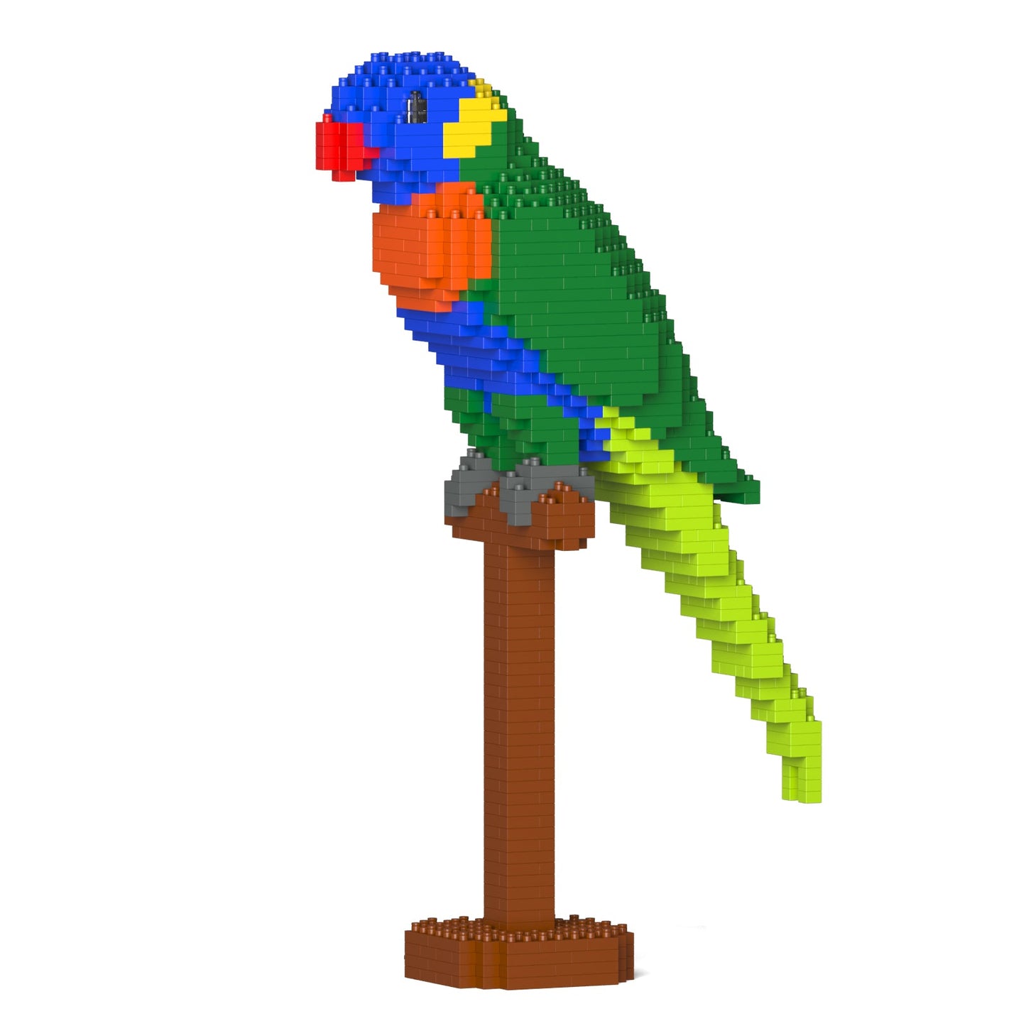Rainbow Lorikeet 01S