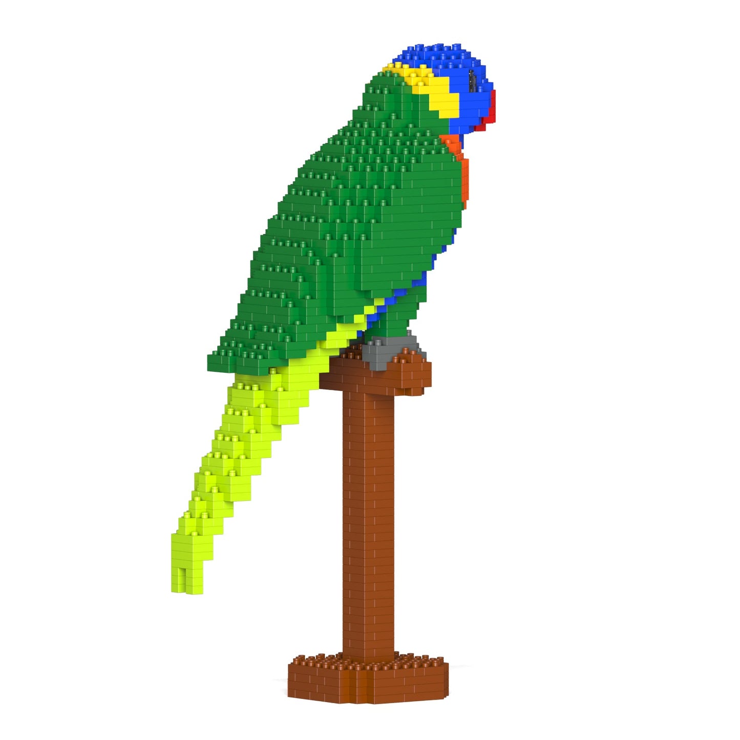 Rainbow Lorikeet 01S