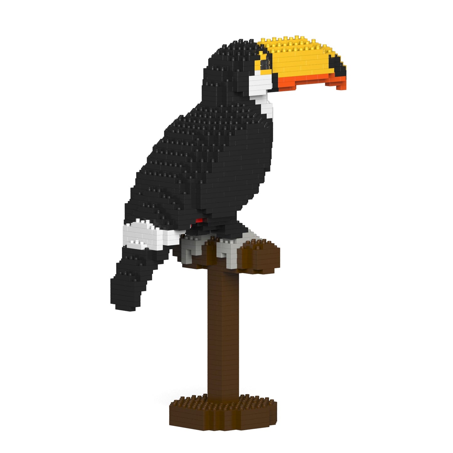 Toco Toucan 01S