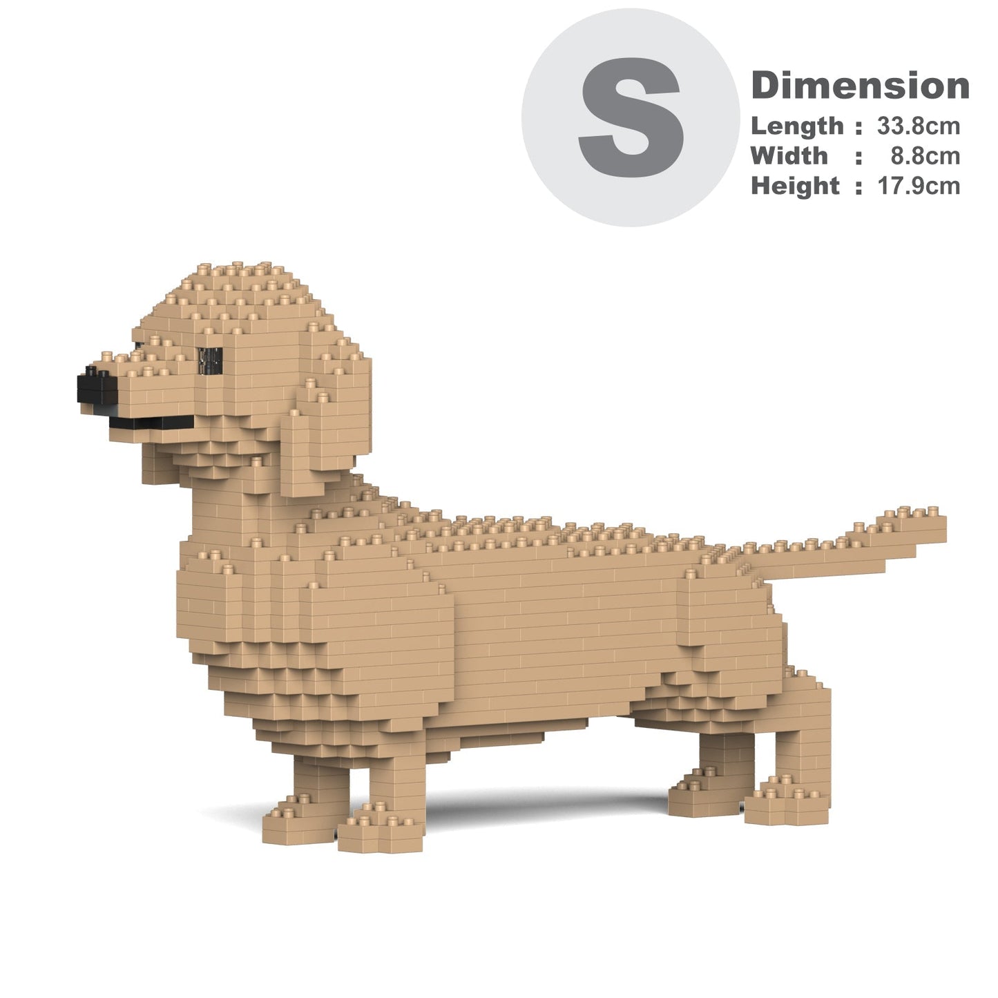 Dachshund 02-M03
