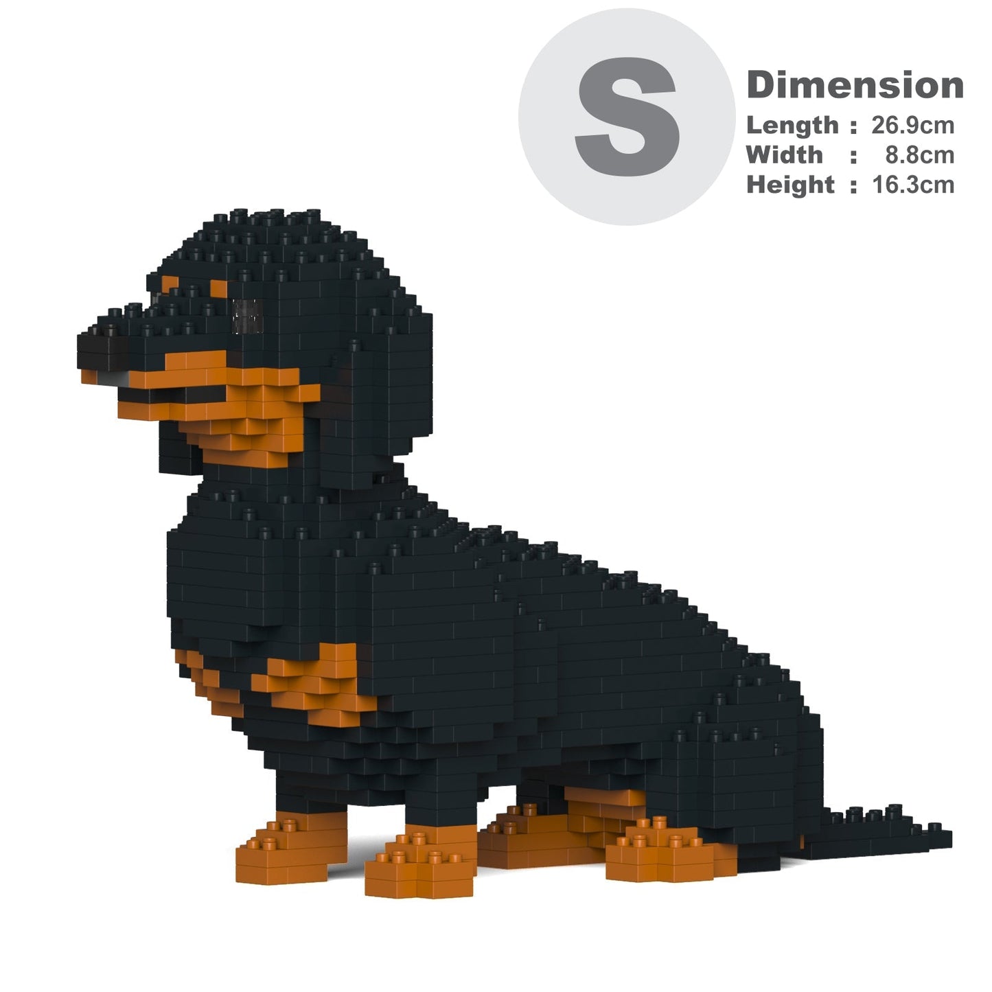 Dachshund 03-M01