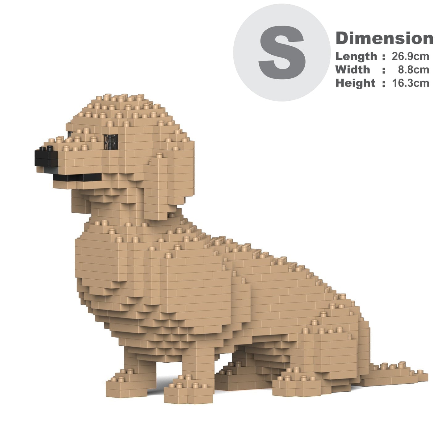 Dachshund 03-M03