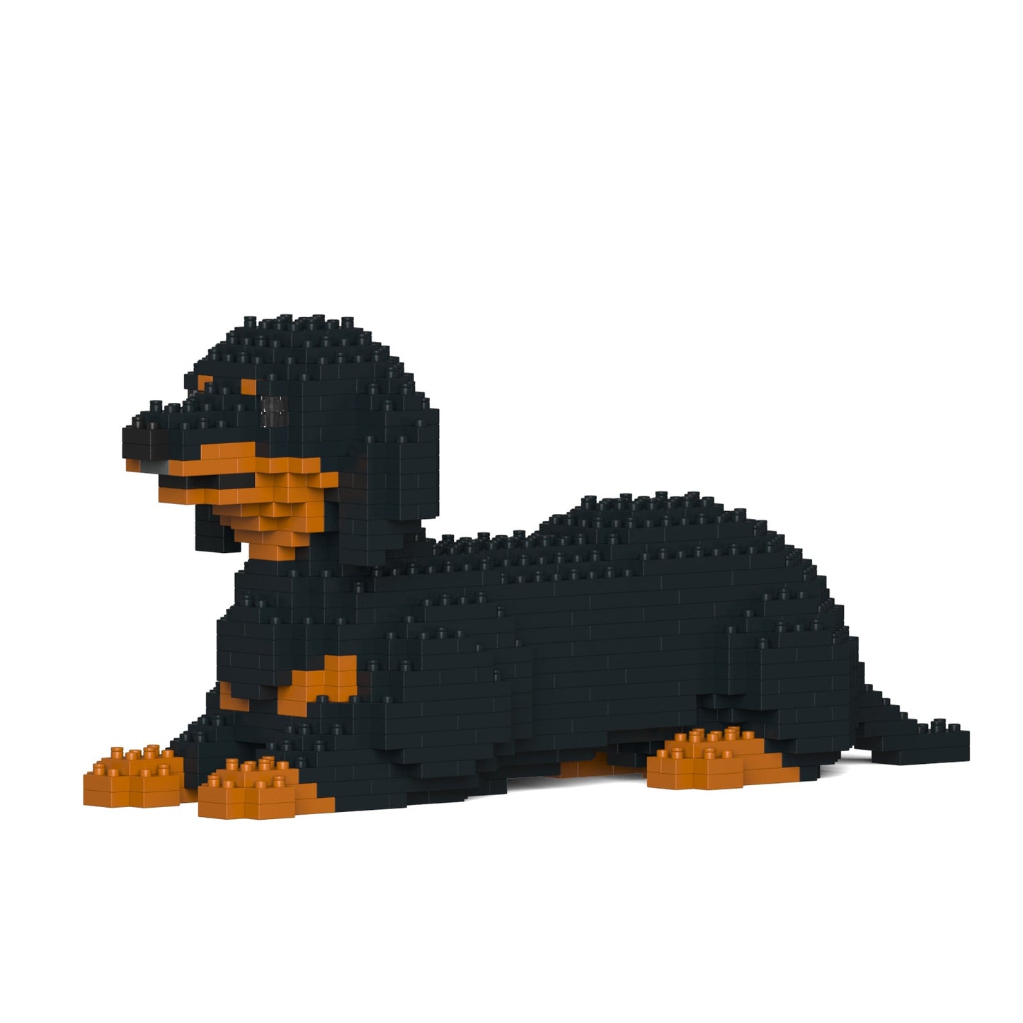 Dachshund 04-M01