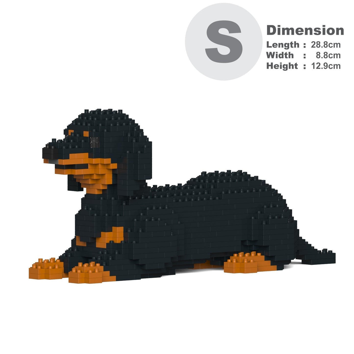 Dachshund 04-M01