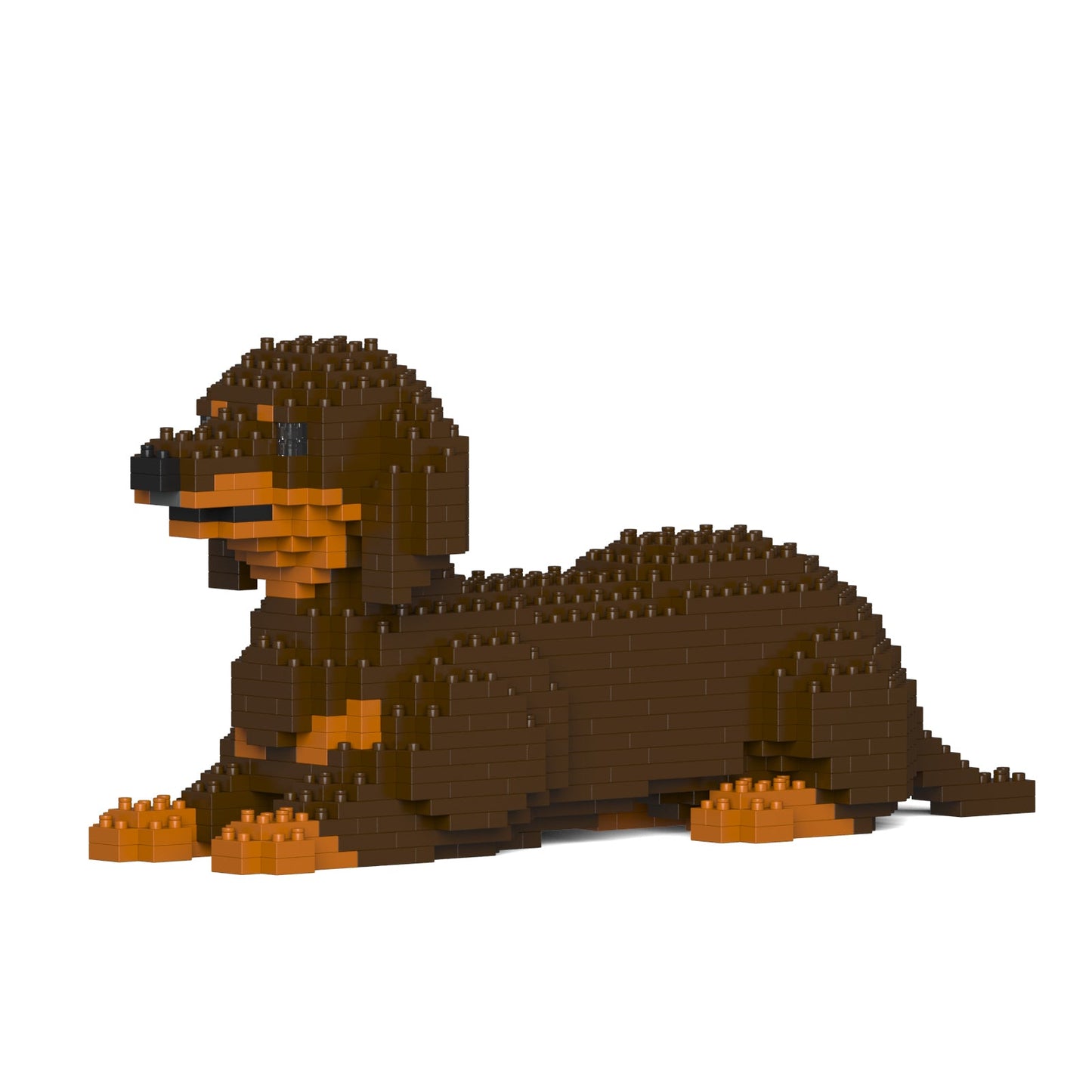Dachshund 04-M02