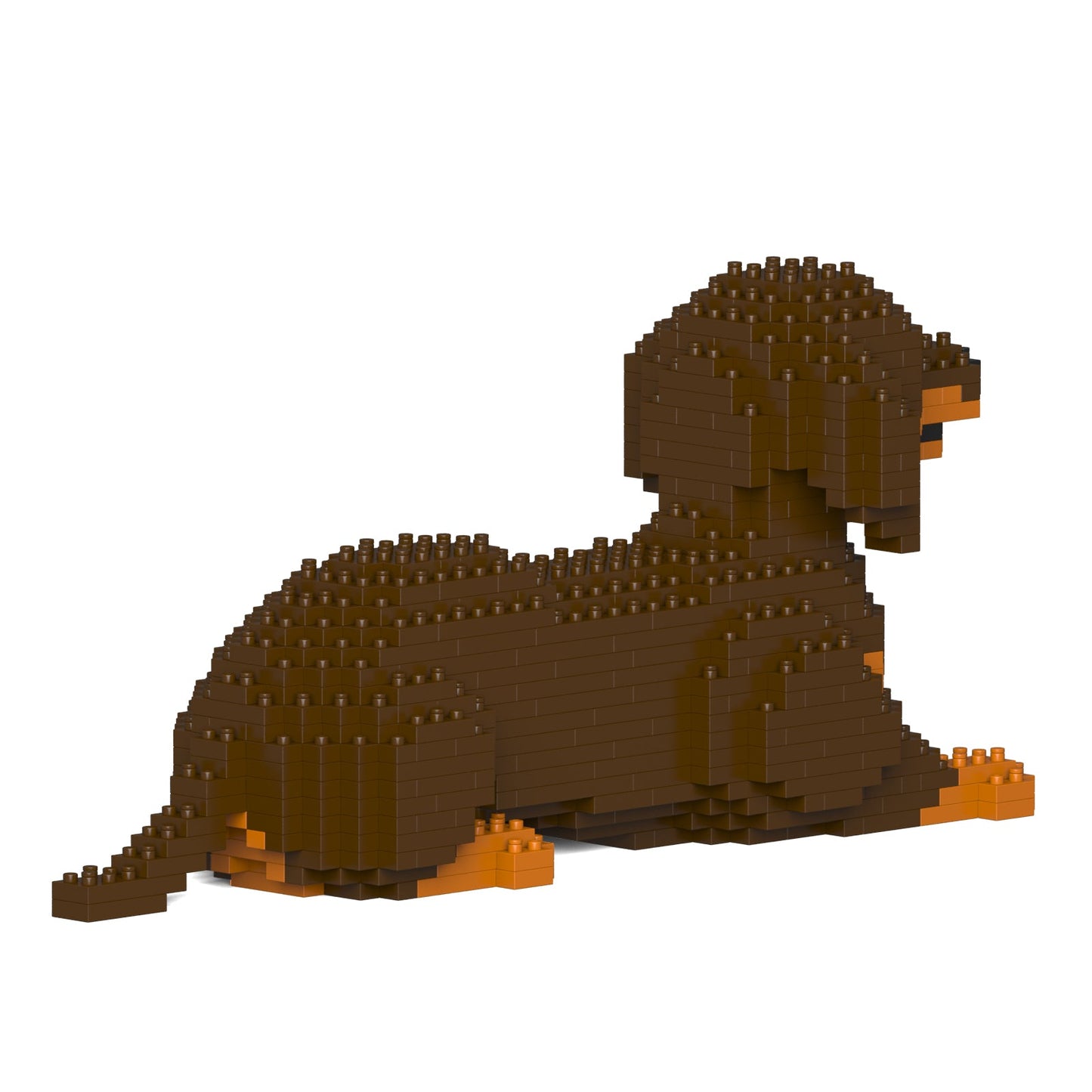 Dachshund 04-M02