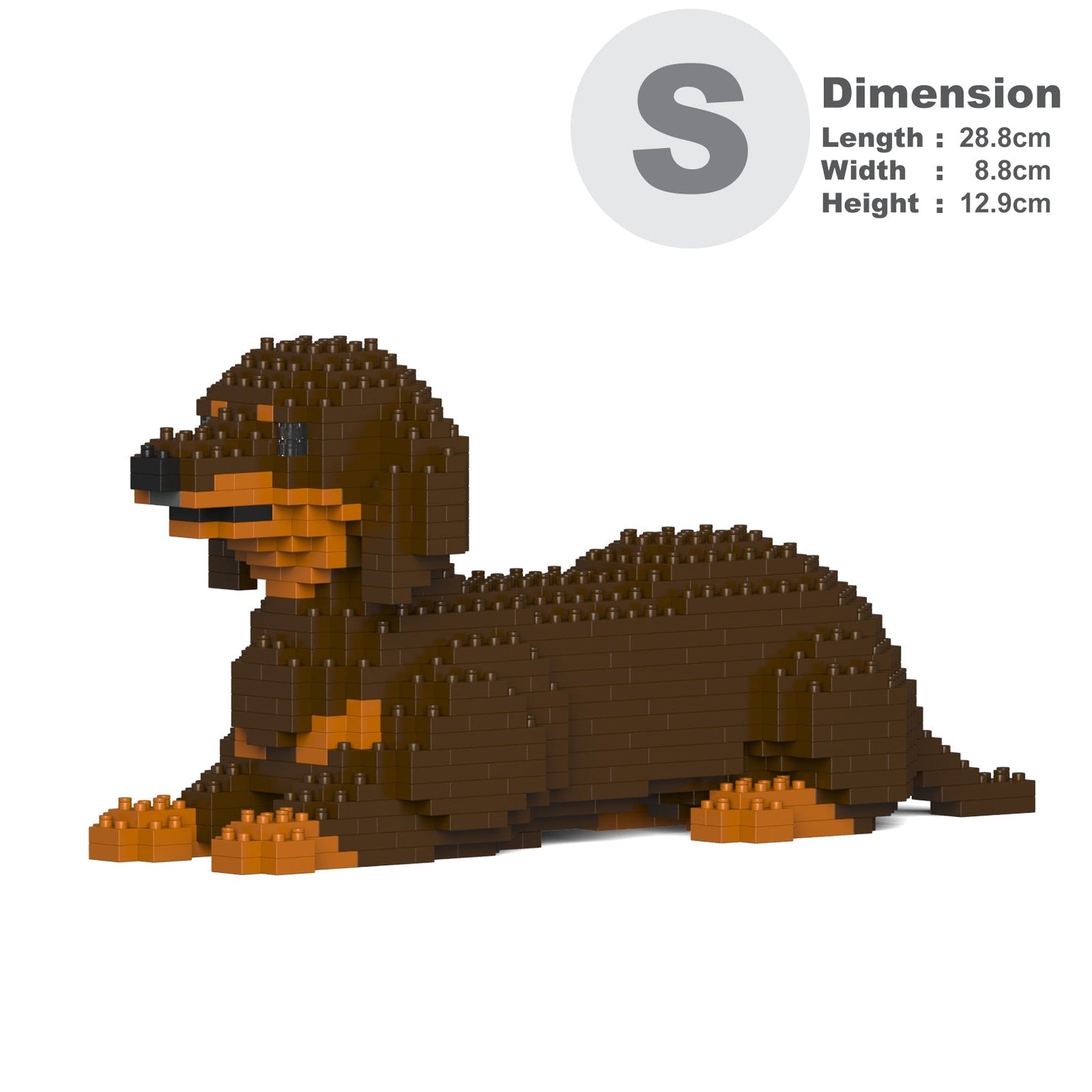 Dachshund 04-M02
